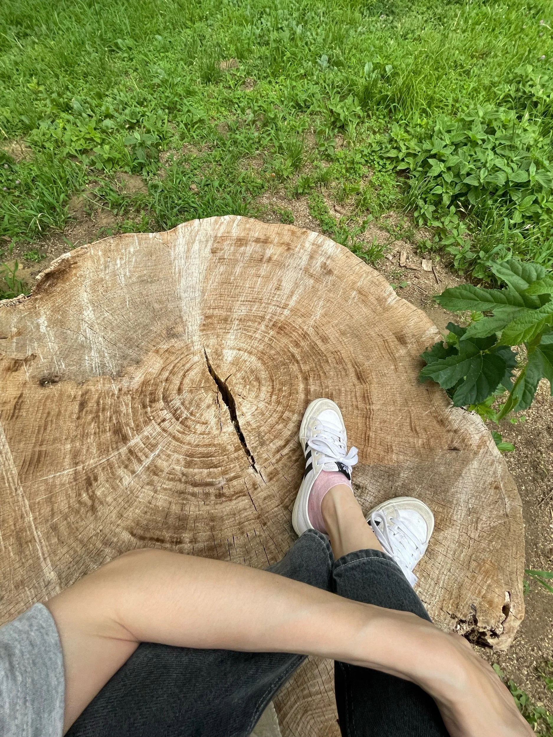 짤막글 조각모음