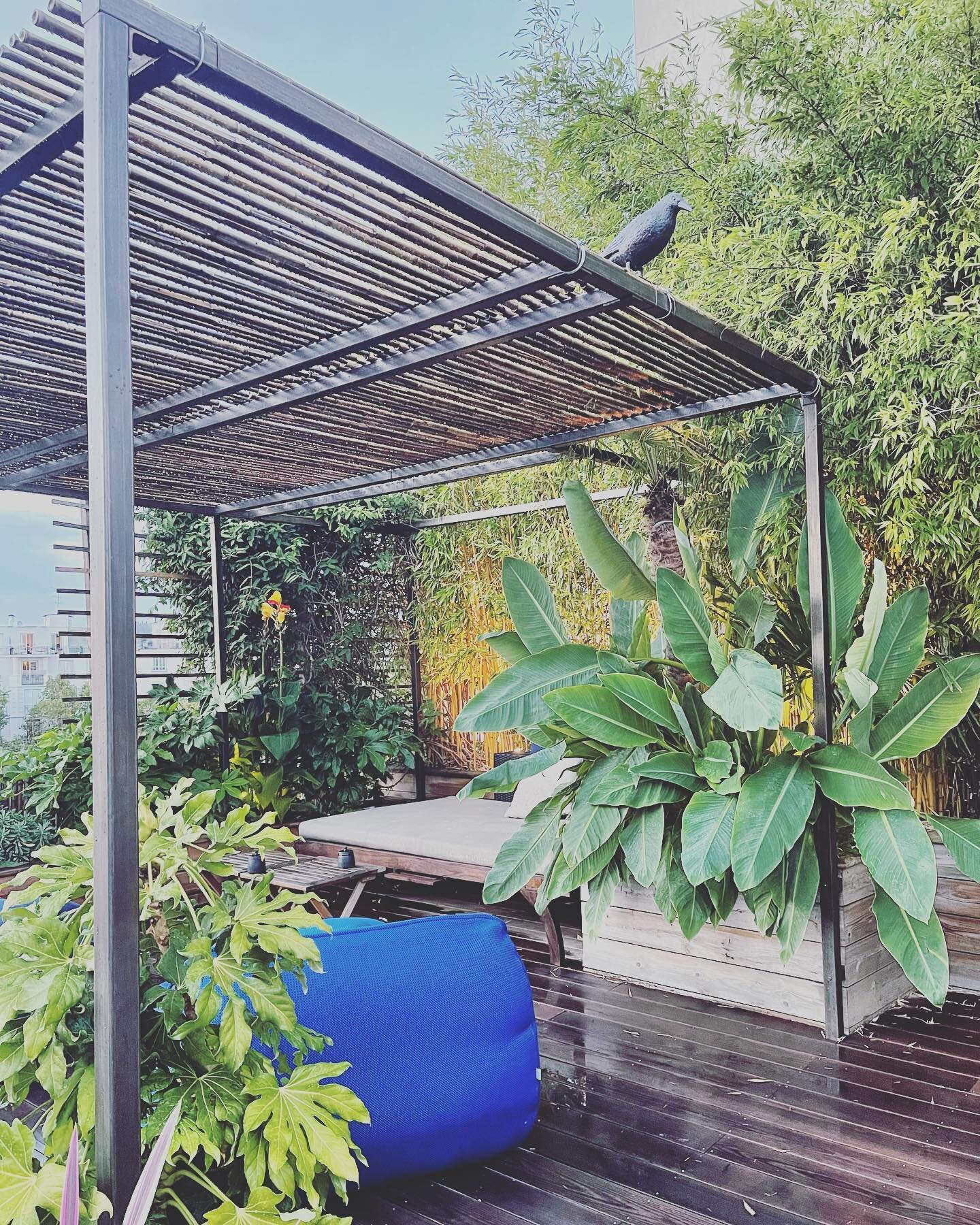 L O D S &bull;  T E R R A C E

#paysagiste #paysagisteparis #jardinierpaysagiste #conception #amenagement #terrasse #amenagementexterieur #terrasseparisienne #paysage #jardin #vegetal #plantes #surmesure #design #landscapedesign #pergola #metal #menu