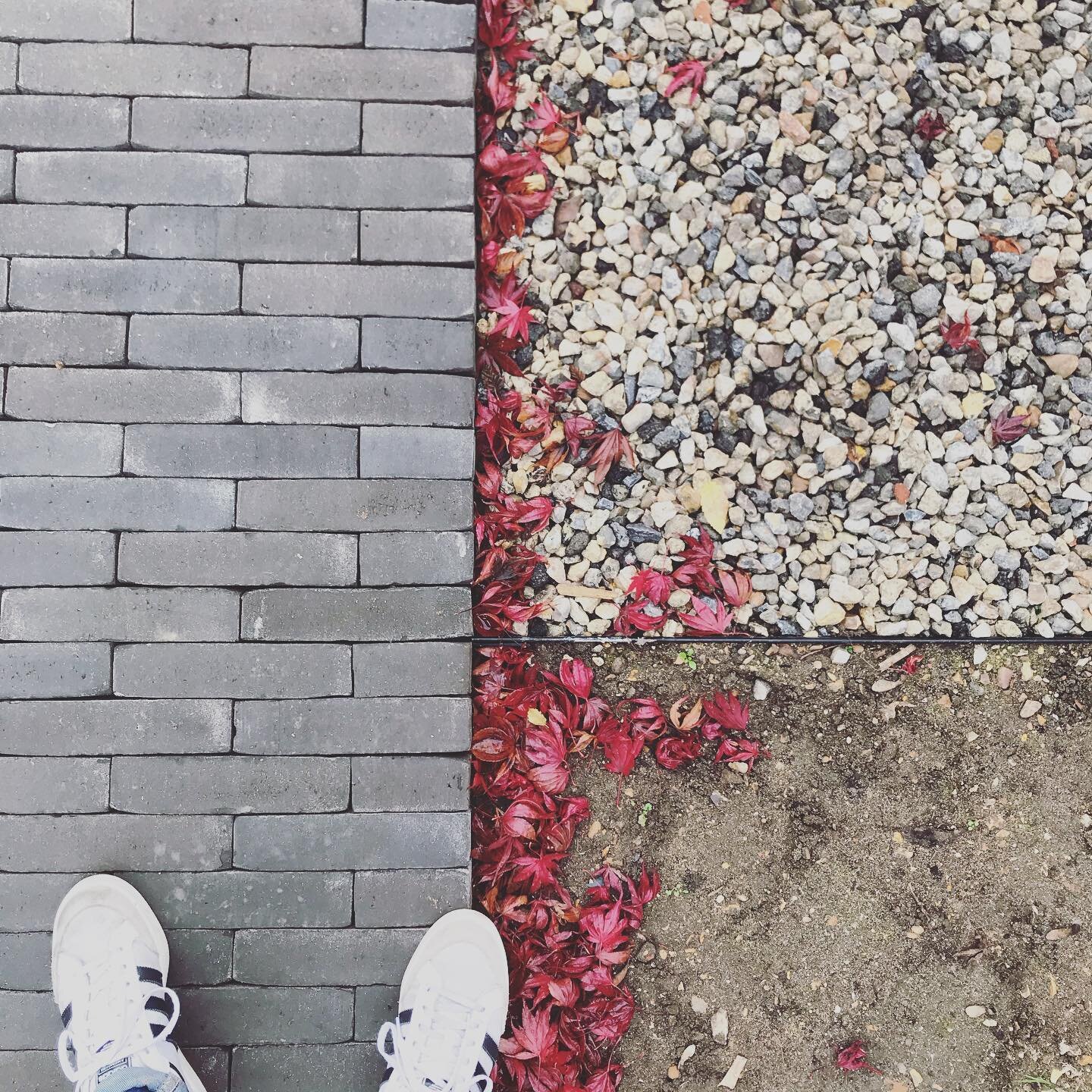 M I N E R A L
-
-
-
#briques #faitmain #faitmainenfrance #poseachant#calepinage #motif #b&eacute;tonconcass&eacute; #matiere #textures #recyclage #brick #handmade #grey #dark #mineral #gravel #concrete #upcycling #garden #jardin #paysagisteconcepteur