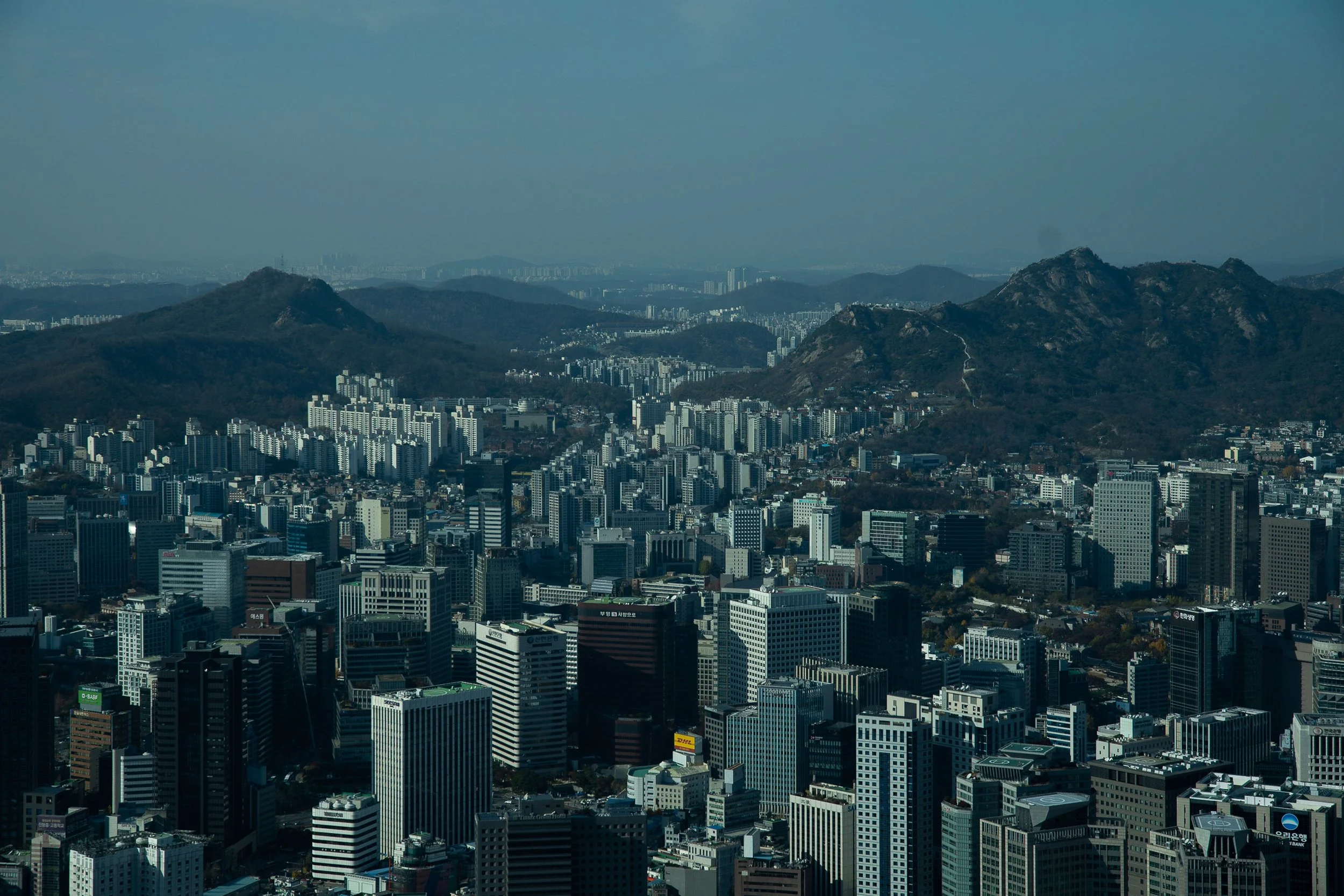 P1020349.jpg