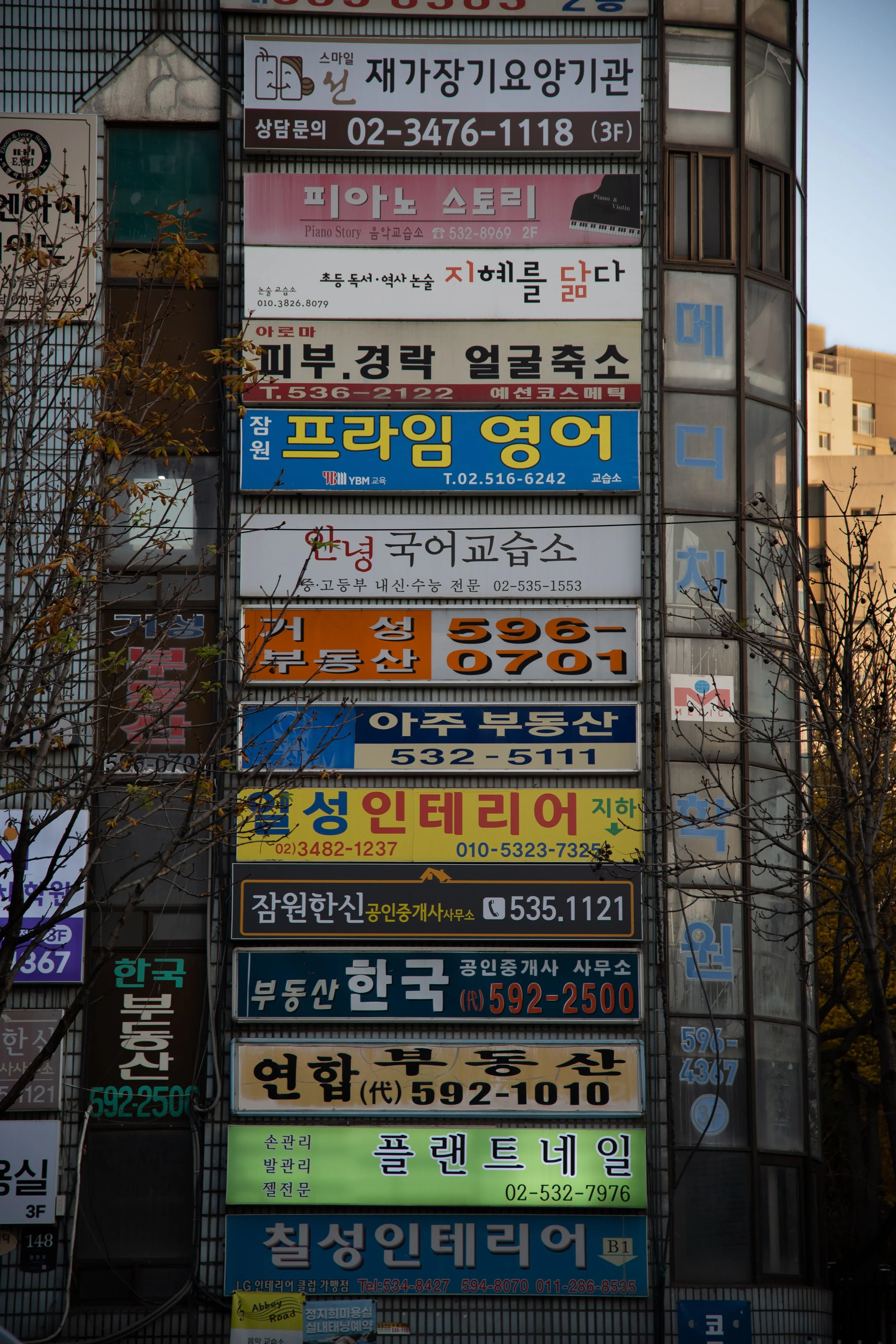 P1020548.jpg