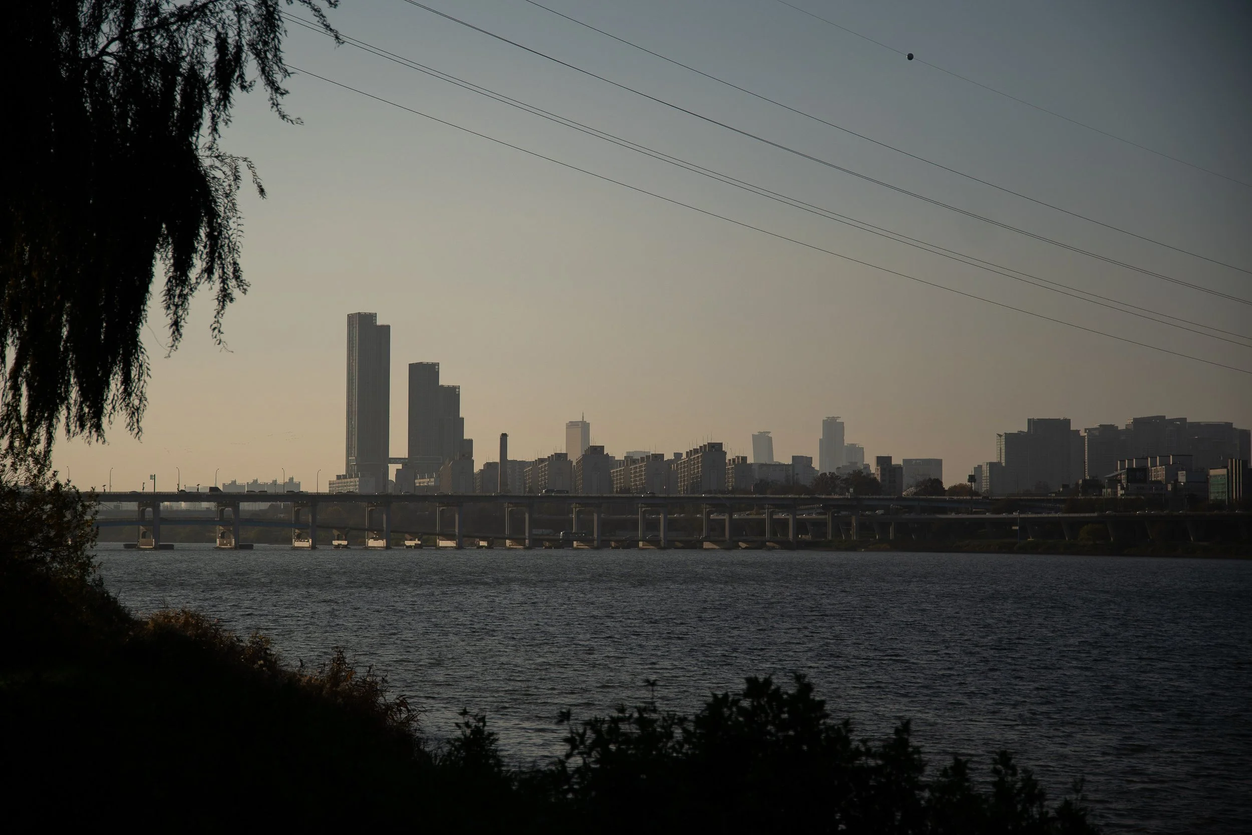 P1020539.jpg