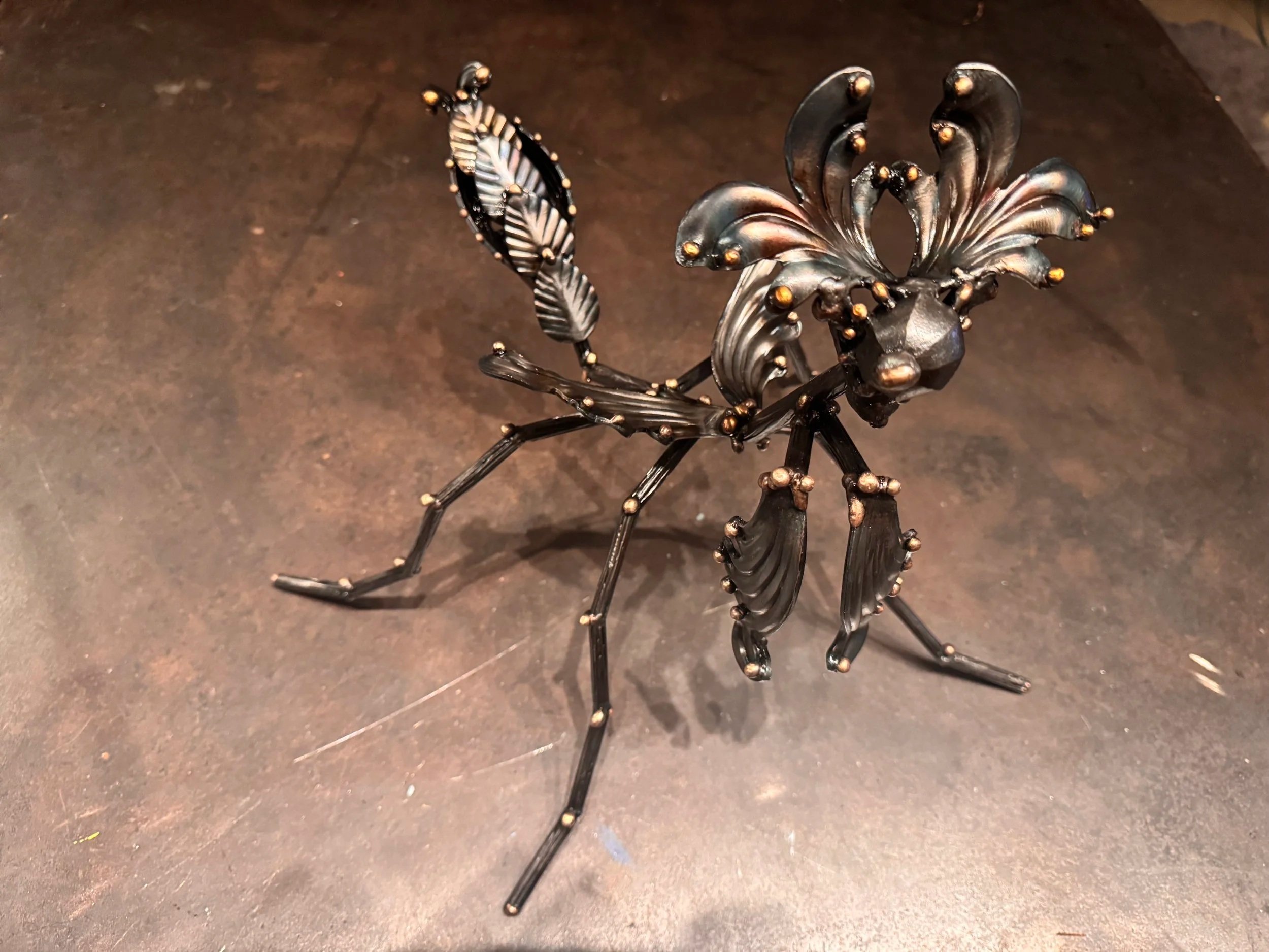 Praying Mantis