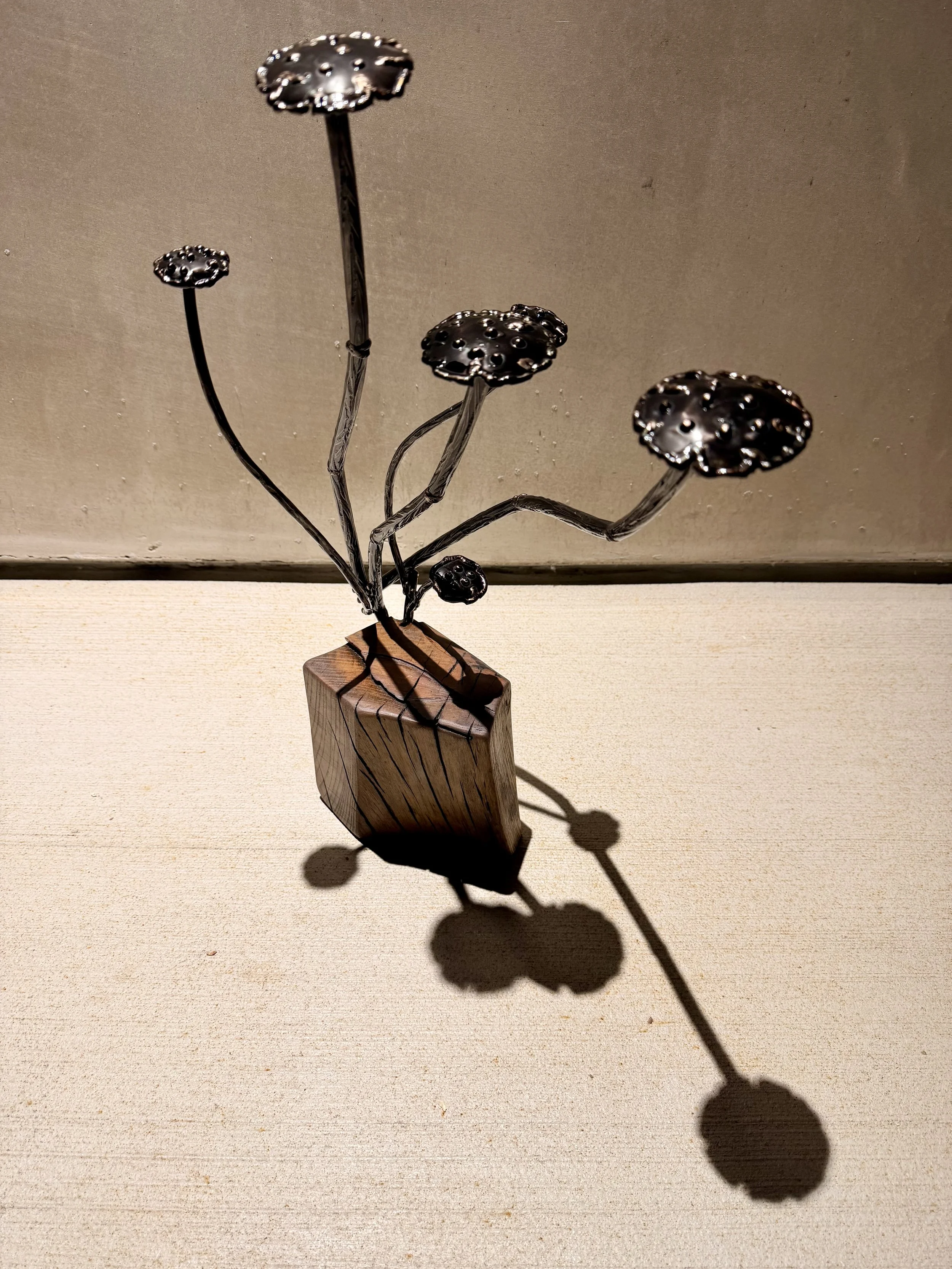 Mushrooms