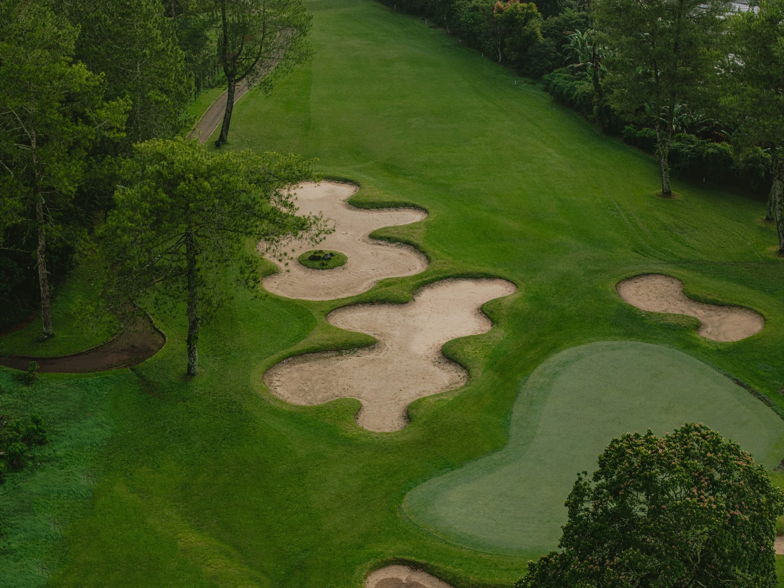 Golf-1-edit2.jpg