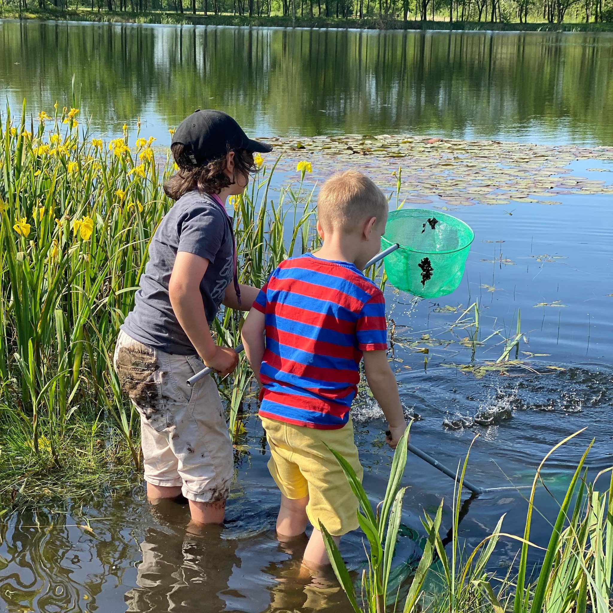 Lovely hygge moment @hyggelake where kids can still be kids 💚❤️💙 #boys #fishing #goodtimes #goodmoments  #campinglife #camping #welovecamping #hygge #ownlake #hyggehygge #denmark #denmarklove #hyggelife #hyggelake #lakeview #campingindenmark #newca