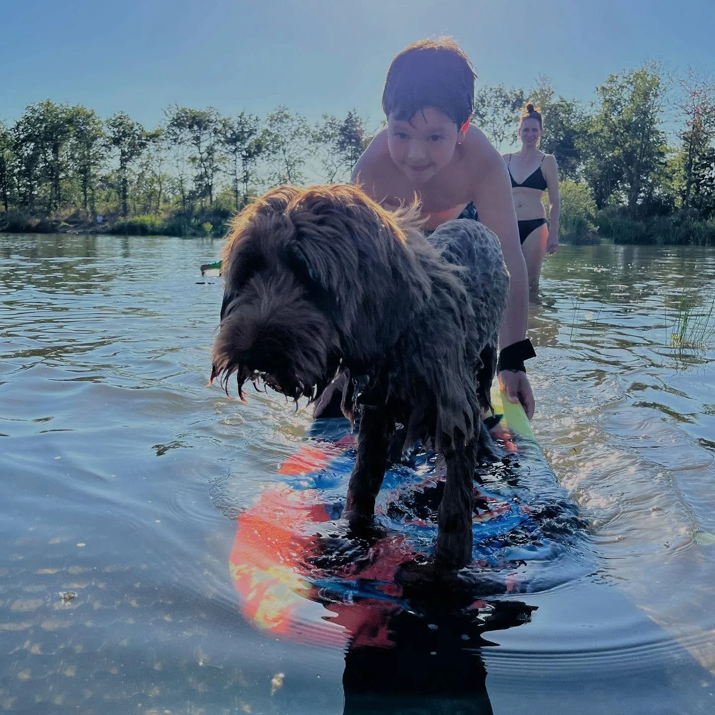 We ❤️ dogs #doglovers #campinglife #camping #welovecamping #hygge #ownlake #hyggehygge #denmark #denmarklove #hyggelife #hyggelake #lakeview #campingindenmark #newcampsite #naturelover #visitdenmark #campingplatz #s&oslash;nderjylland #ribe #visits&o
