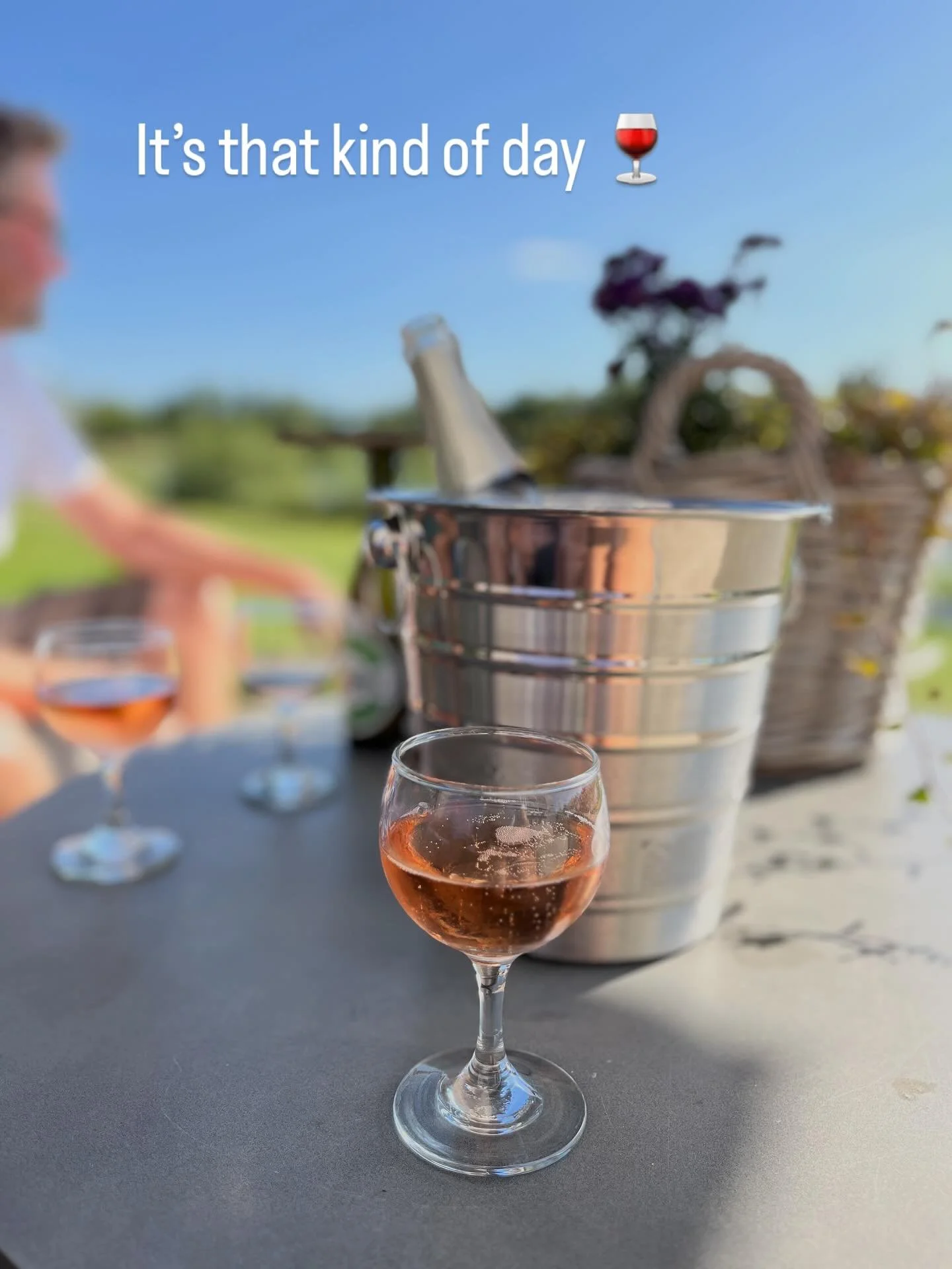 Wir haben eine wunderbare Weinauswahl f&uuml;r euch die zum Day Drinking einl&auml;dt 🍷☀️😎🇩🇰 #wine #urlaub #campinglife #camping #welovecamping #hygge #ownlake #hyggehygge #denmark #denmarklove #hyggelife #hyggelake #lakeview #campingindenmark #n