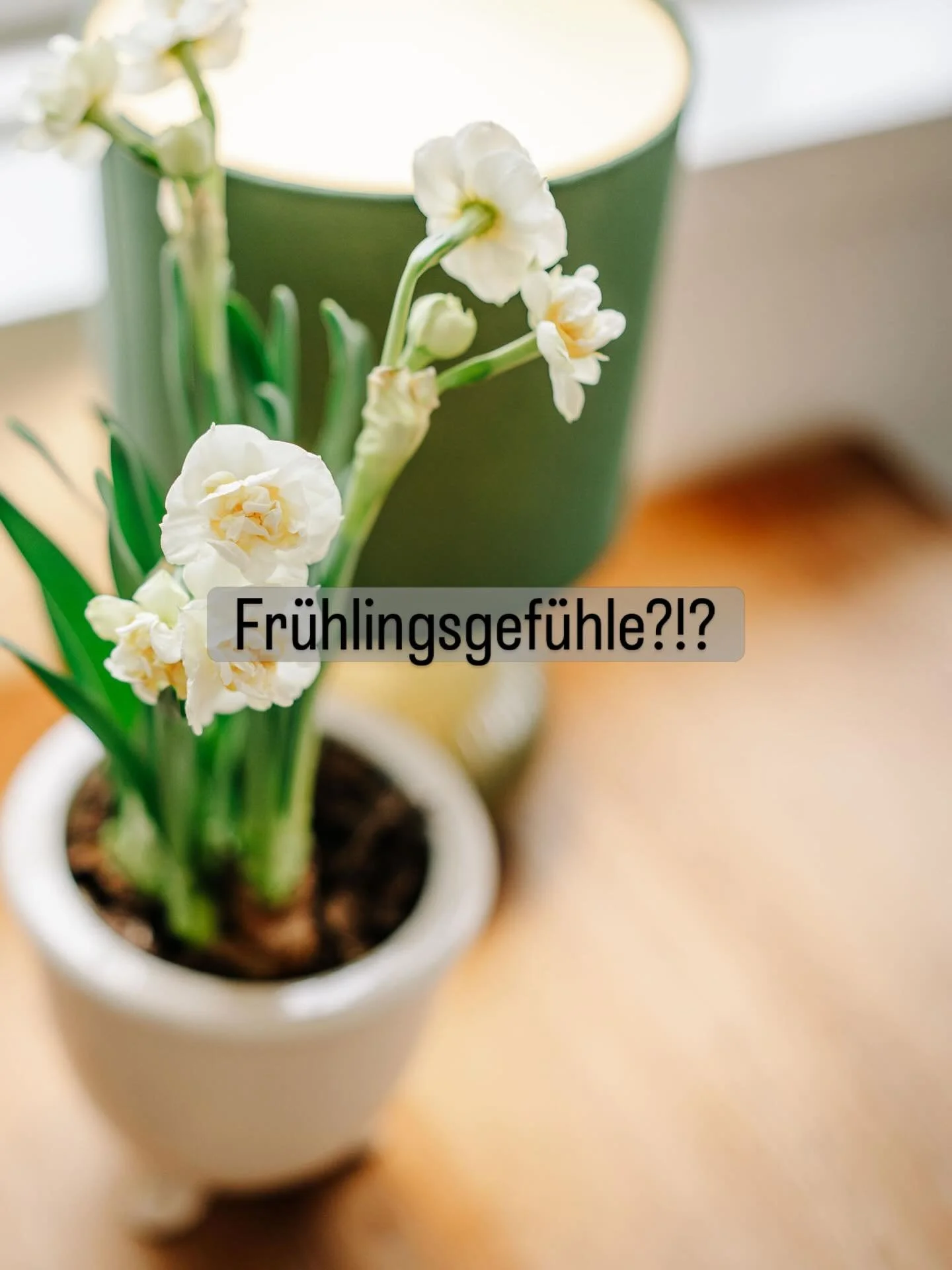 Fr&uuml;hlingsgef&uuml;hle? Ja, wir auch. 💚💛💜💙🧡🩵🩷

Wenn die ersten Sonnenstrahlen kommen, k&ouml;nnen wir es nicht leugnen &ndash; unsere Fr&uuml;hlingsgef&uuml;hle sind definitiv da.

Drinnen erwartet euch bei Hygge Lake Vintage mit noch mehr