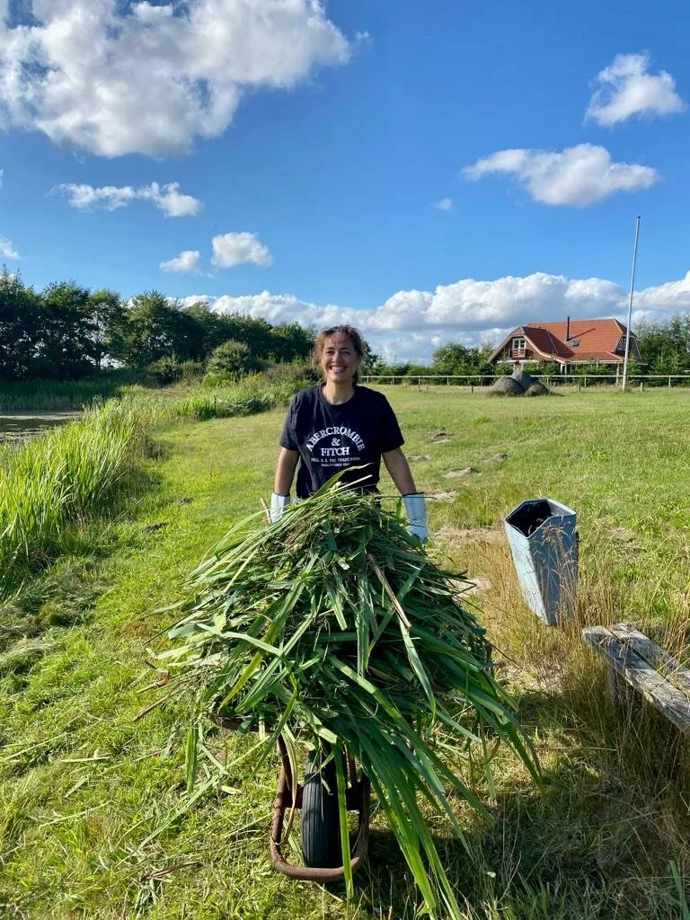 Unser erster Sommer bei Hygge Lake &ndash; 2022.

Damals war hier noch alles ganz f&uuml;r uns &ndash; und trotzdem hatten wir schon diese Vision vor Augen.
Wir hatten keine Ahnung, wie viel Arbeit wirklich hinter all den kleinen und gro&szlig;en Din