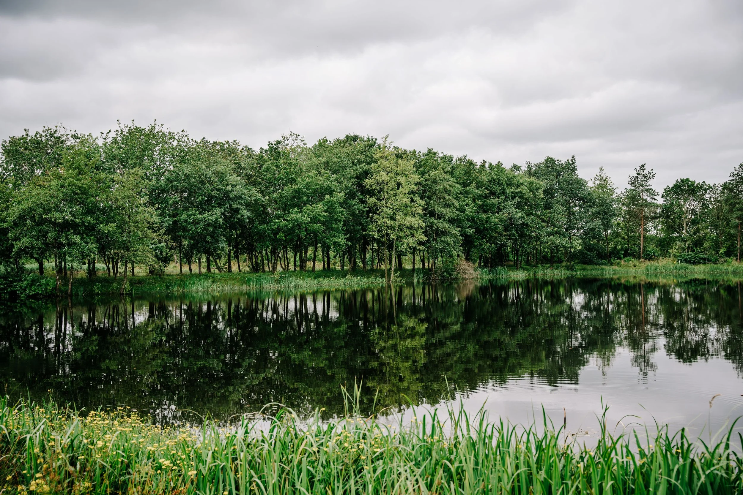 Zu jeder Zeit schön Hygge Lake Camping