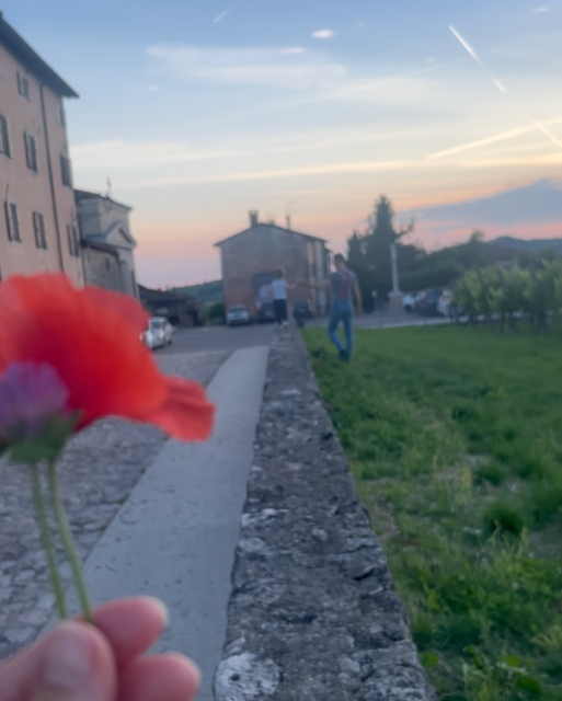 Chiedi e ricevi - Klaproos 