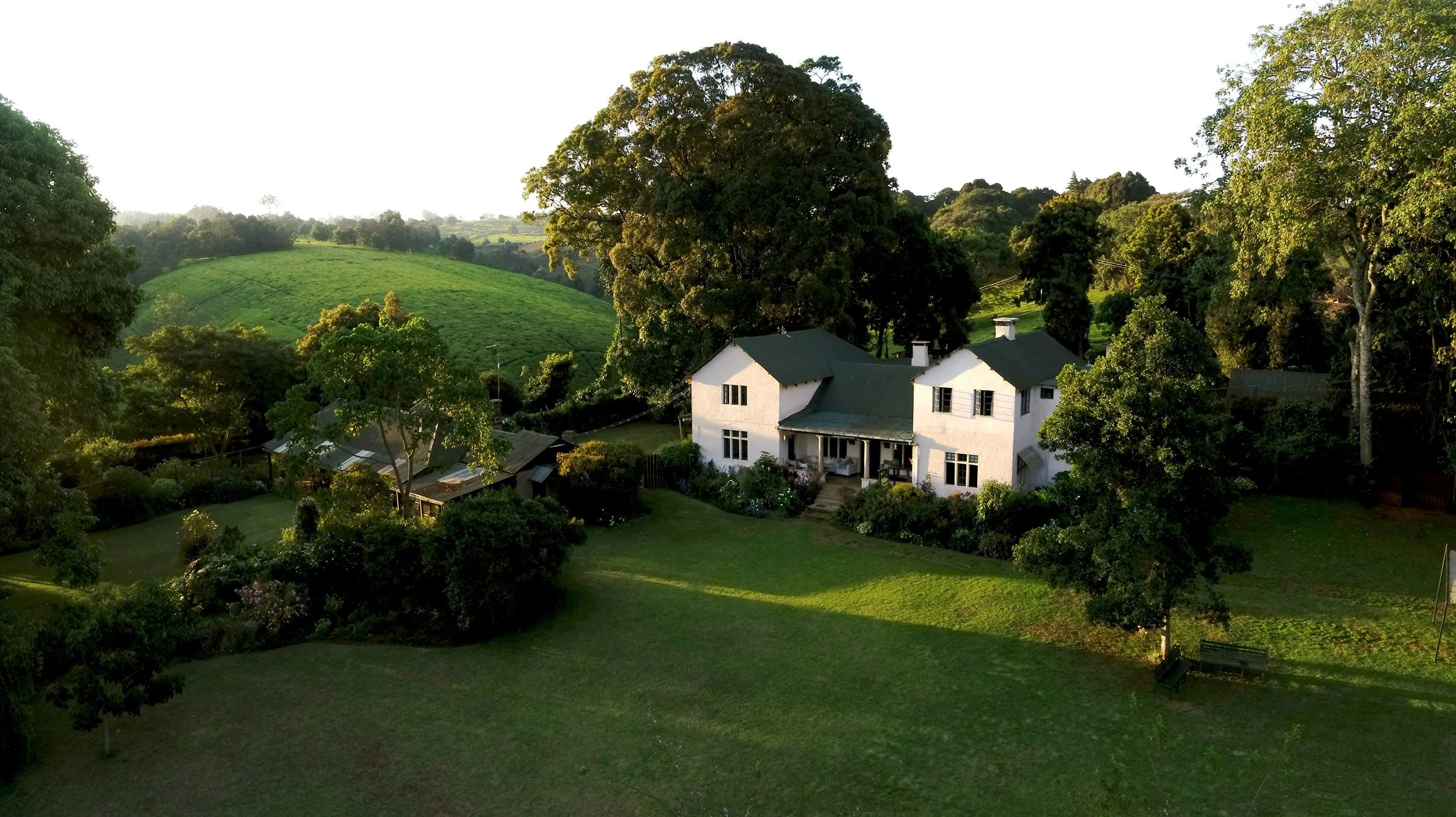 Kiambethu Tea Farm Tour