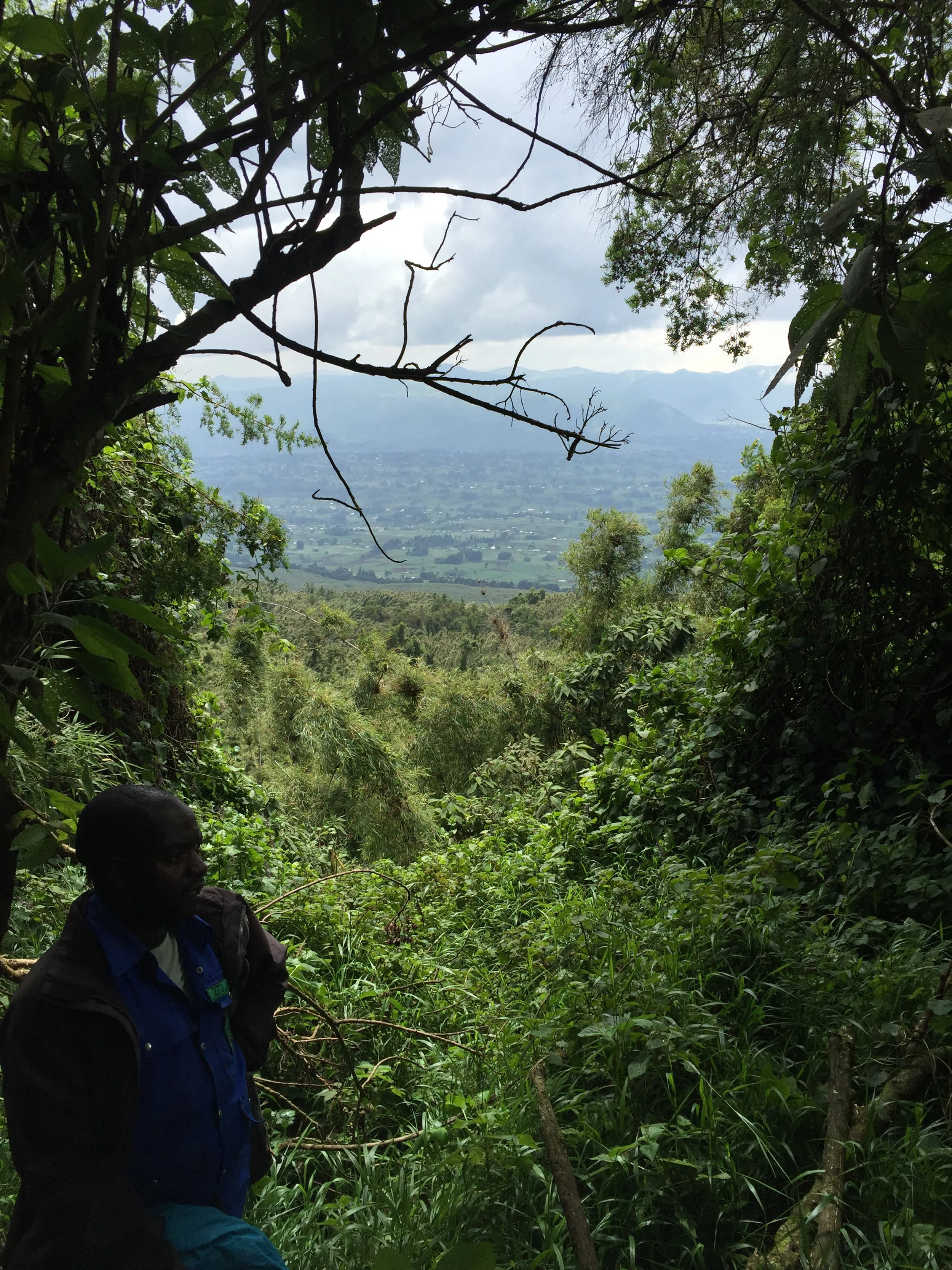 Beautiful views from Volcanoes National Park