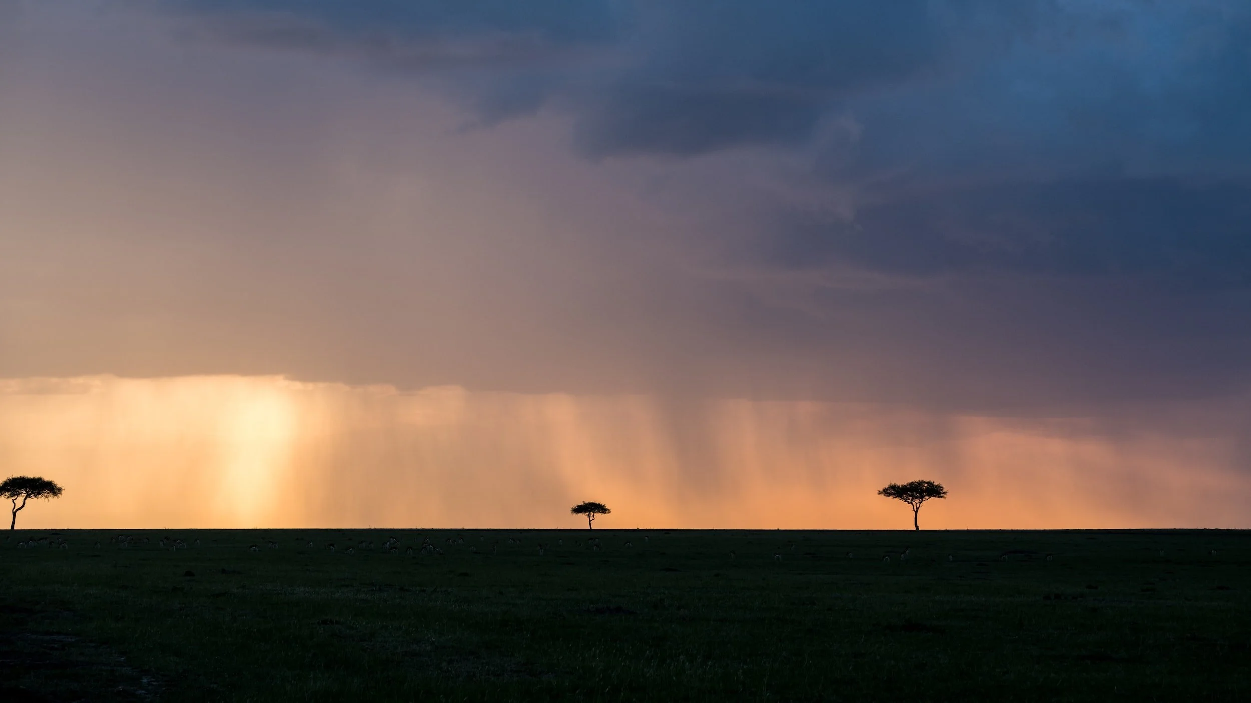 Best time to visit Kenya