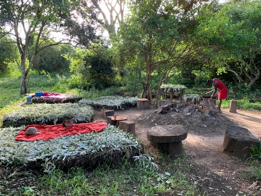 Traditional Masai Beds under the stars