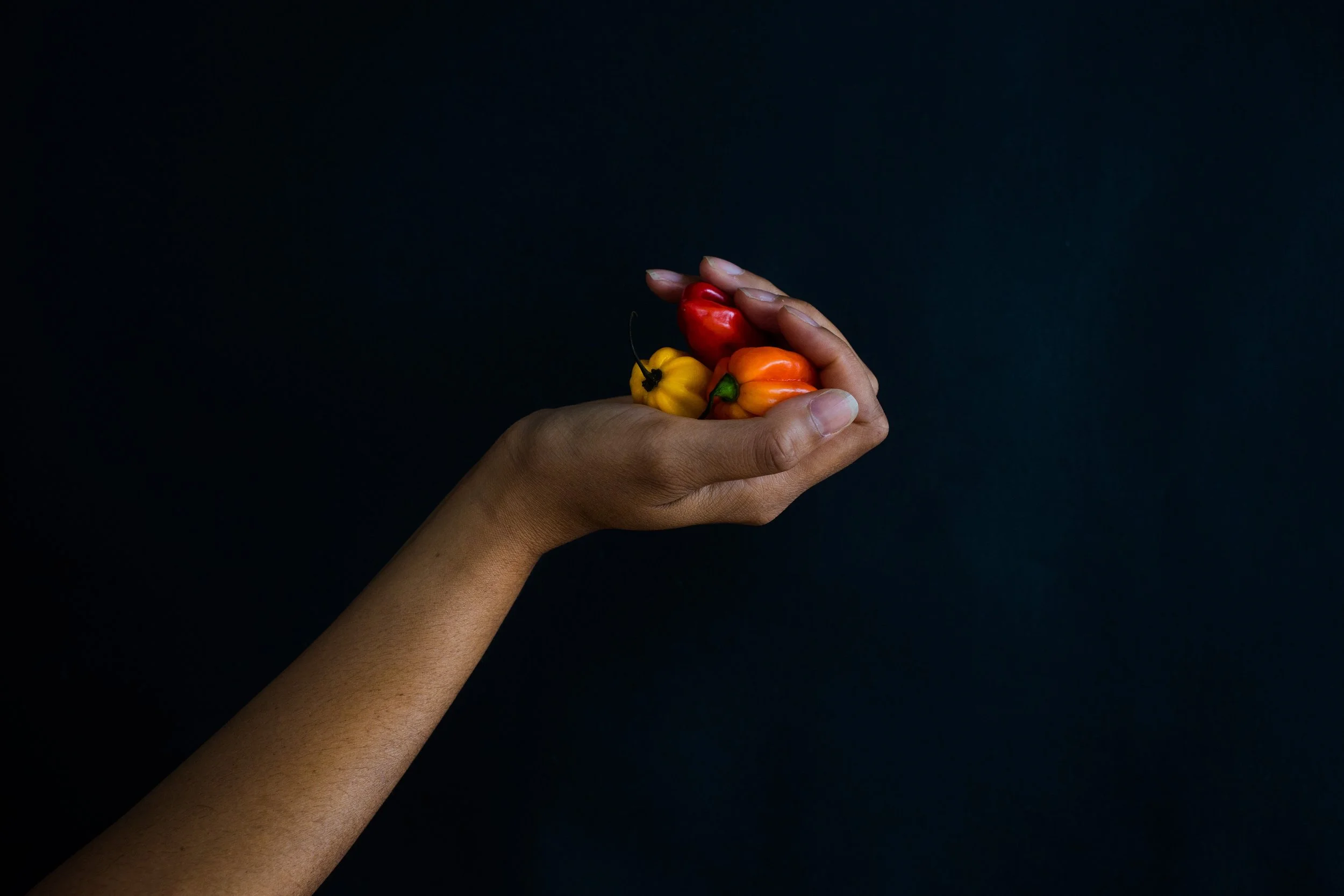 code_noir_still_life_peppers-696598527.jpg