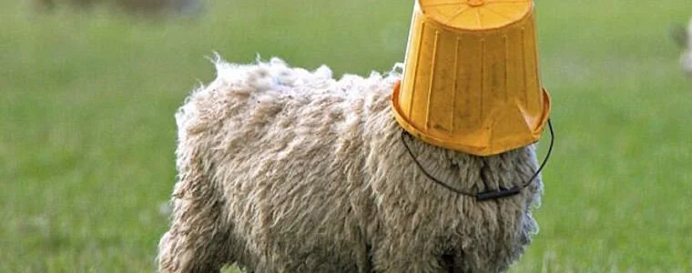 Pardon Me While I Get Un-Stuck