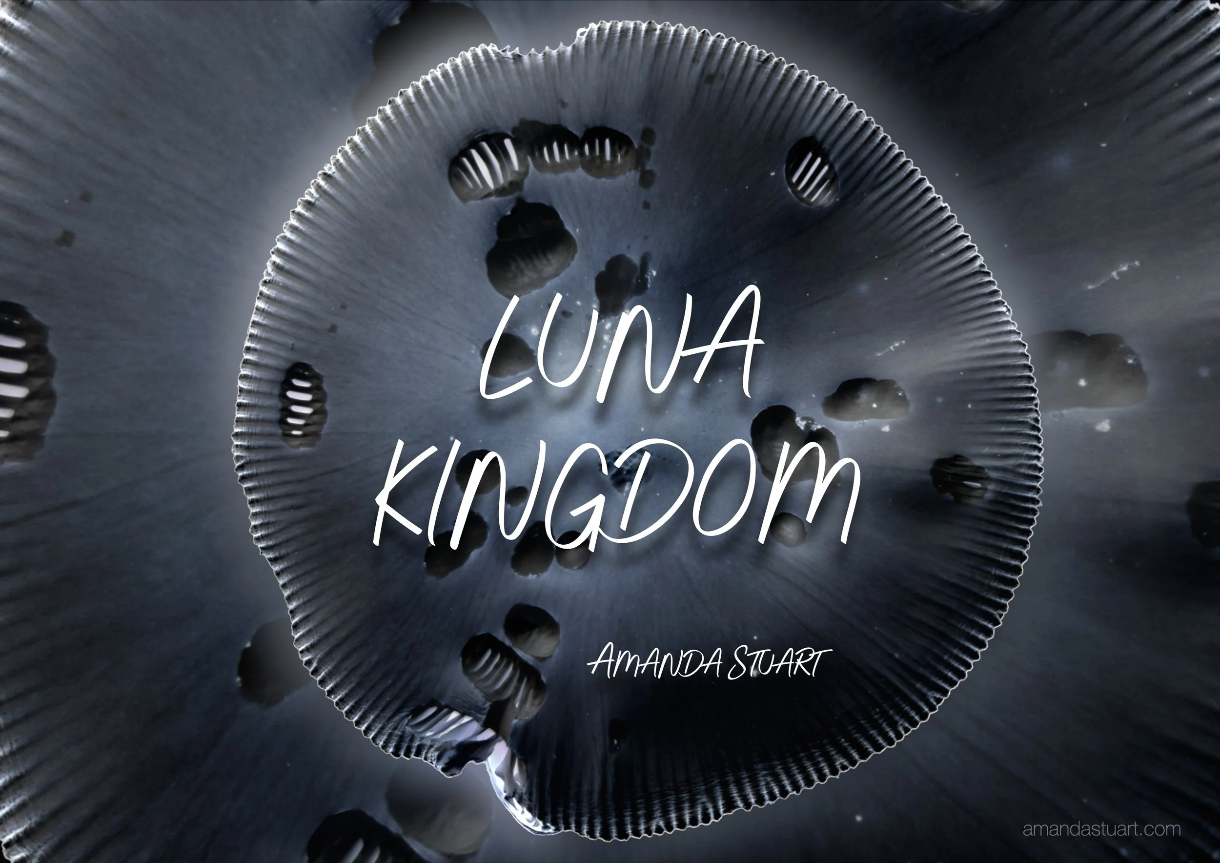 LUNA KINGDOM