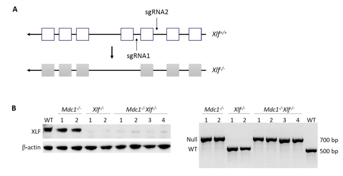 Screenshot 2023-02-07 at 14.45.04.jpg