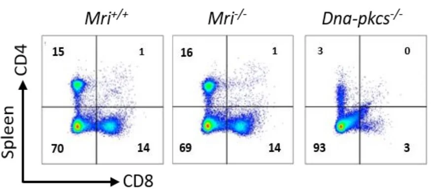 Screenshot 2023-02-07 at 14.55.22.jpg