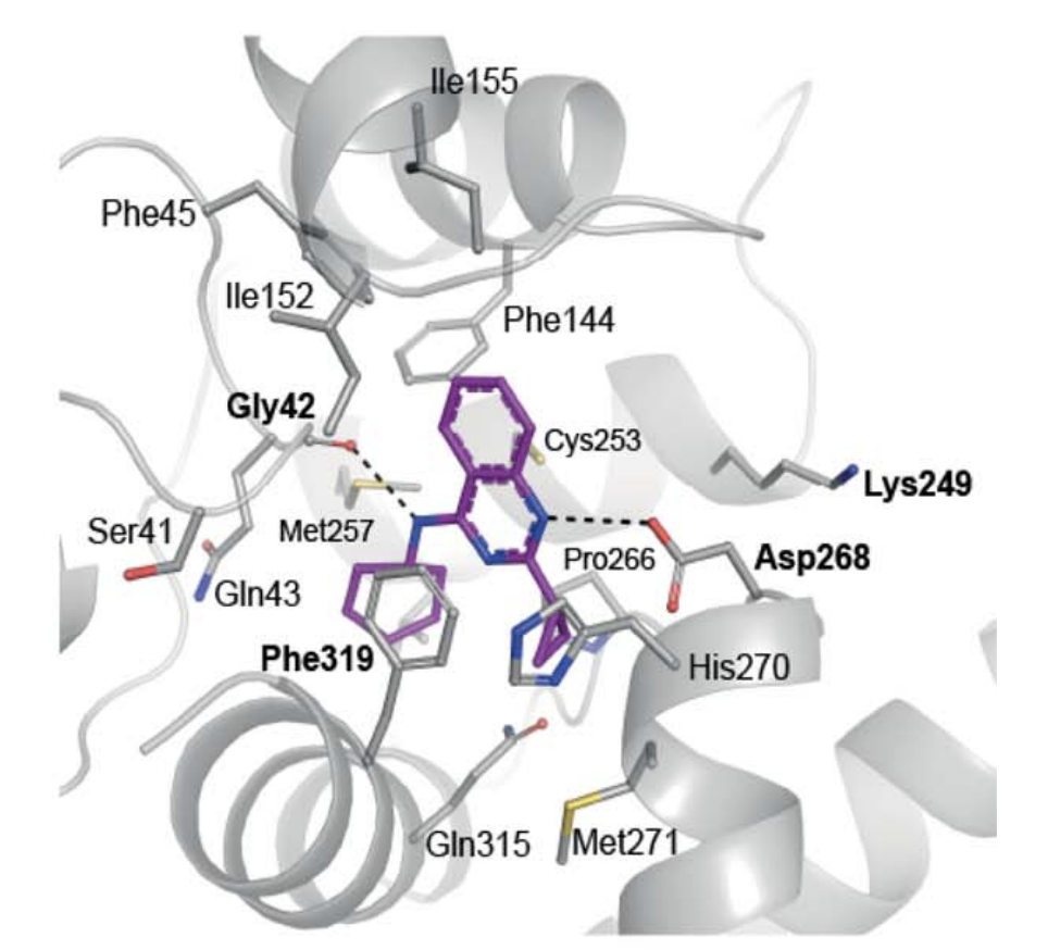 Screenshot 2023-02-07 at 15.16.37.png