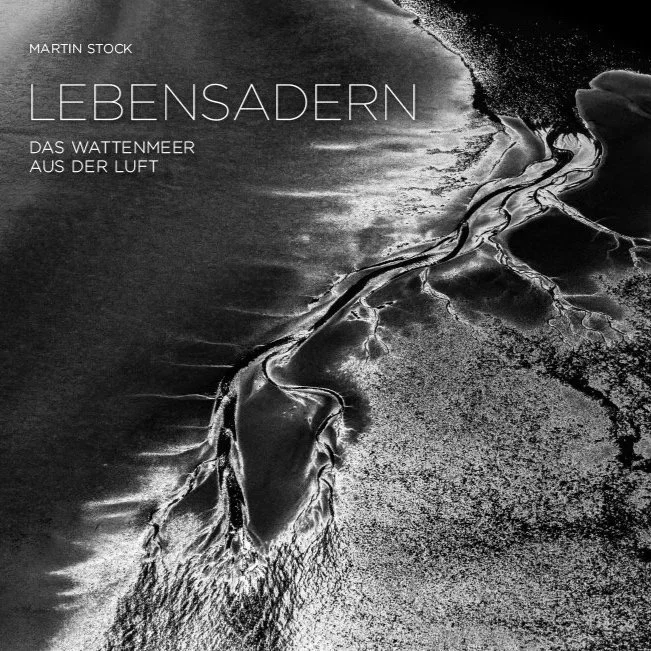 Lebensadern - Das Wattenmeer aus der Luft