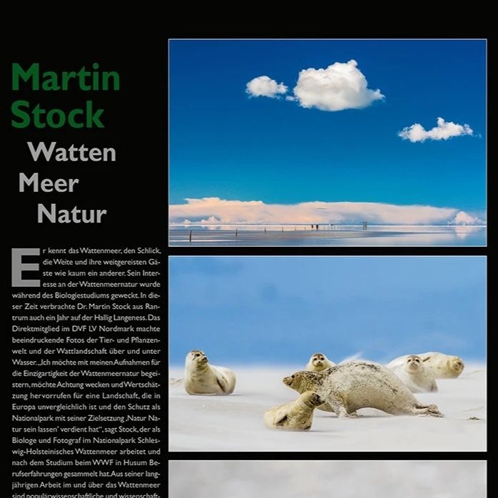 Watten Meer Natur