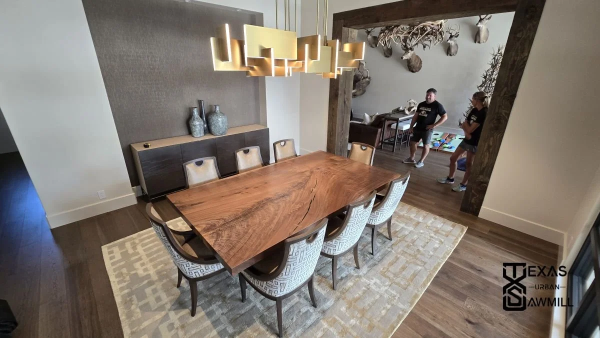 Behold the breathtaking fiddleback figuring that flows across the entire surface of this walnut slab. Coveted for its rare, shimmering chatoyance, fiddleback embodies luxury and precision, revered in the gunstock industry and beyond for its unparalle