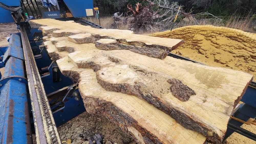 Sawmill Projects — Texas Urban Sawmill