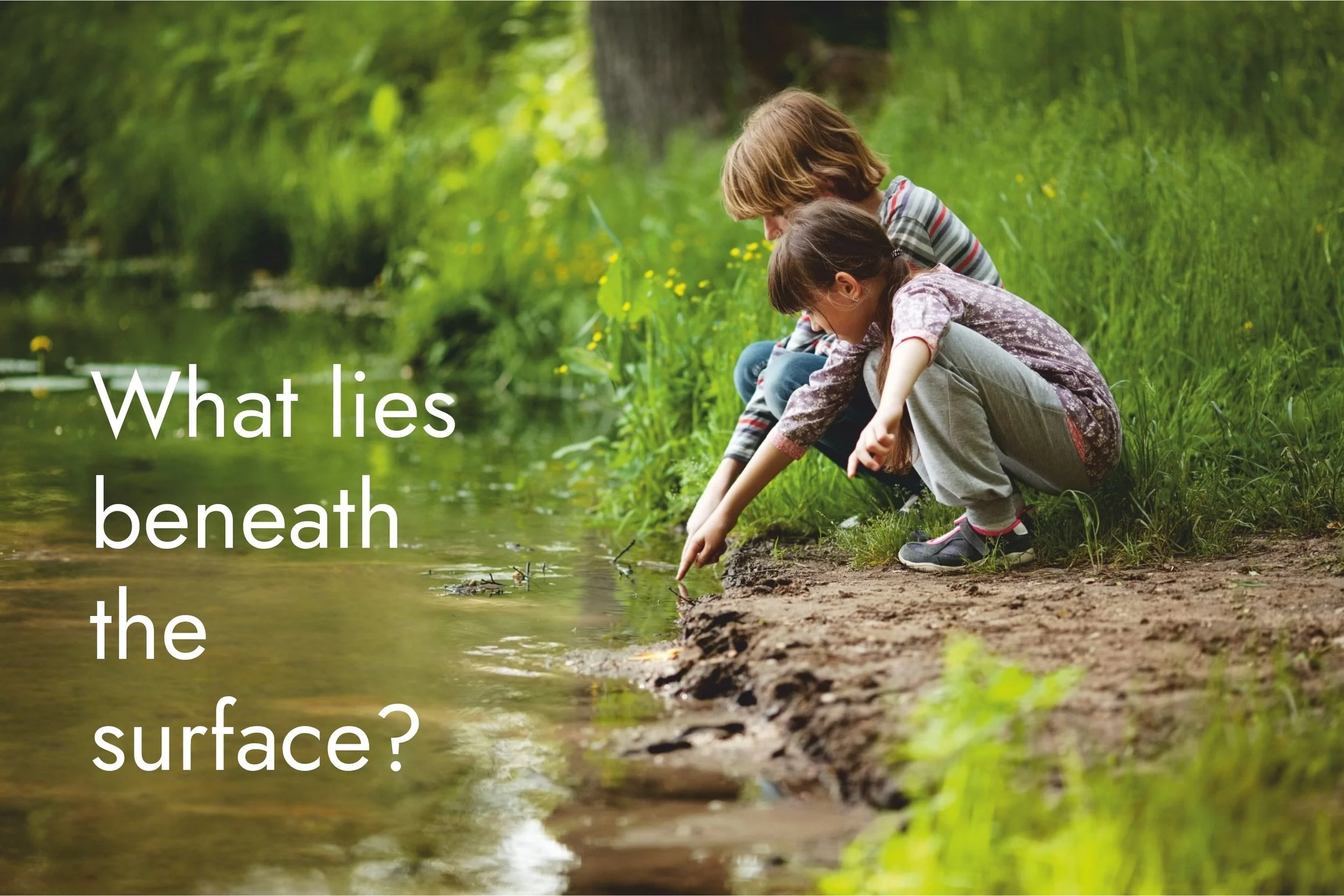 Discover the life in our chalk streams