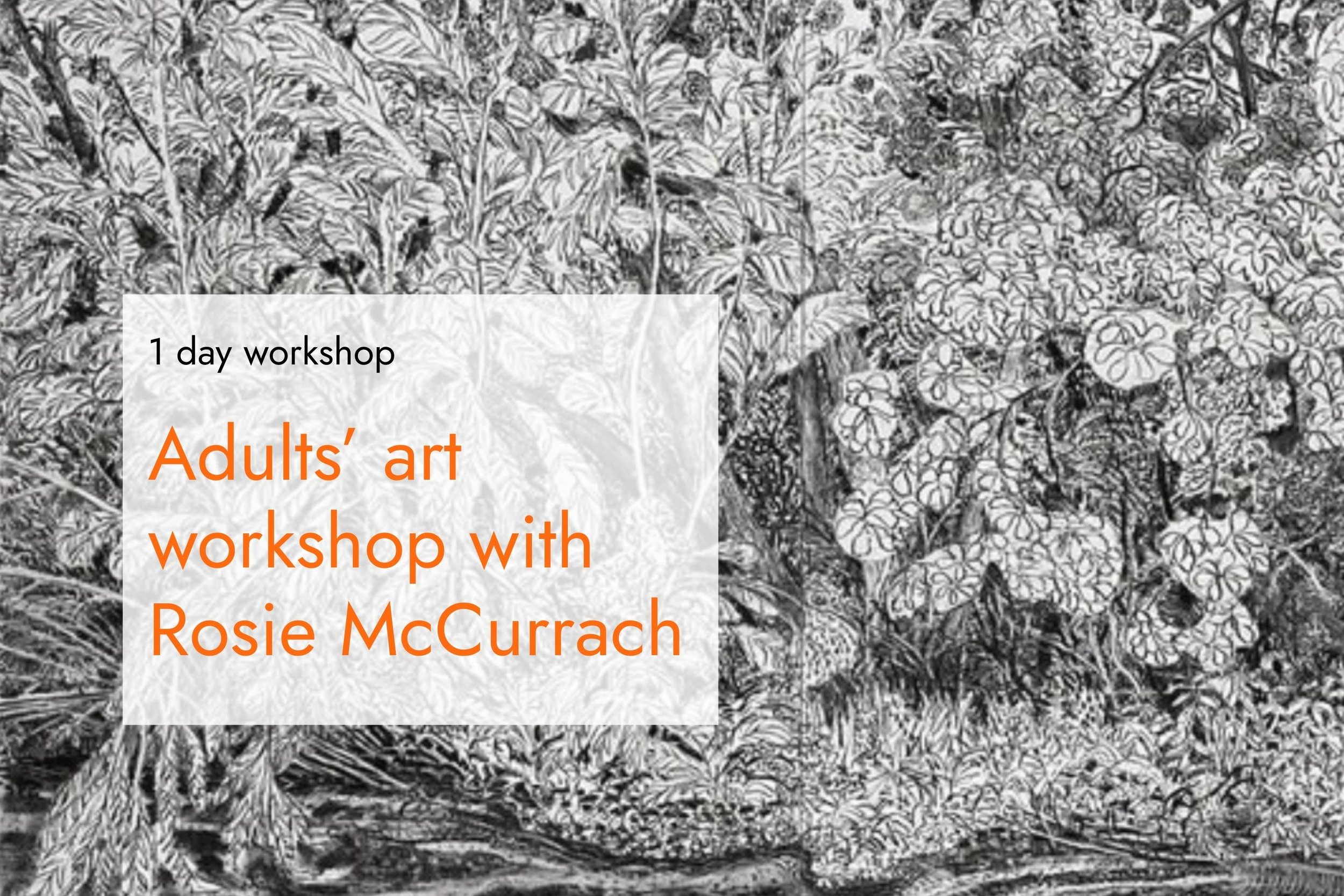 Drawing in the landscape - Land and Water: One day drawing workshop with Rosie McCurrach