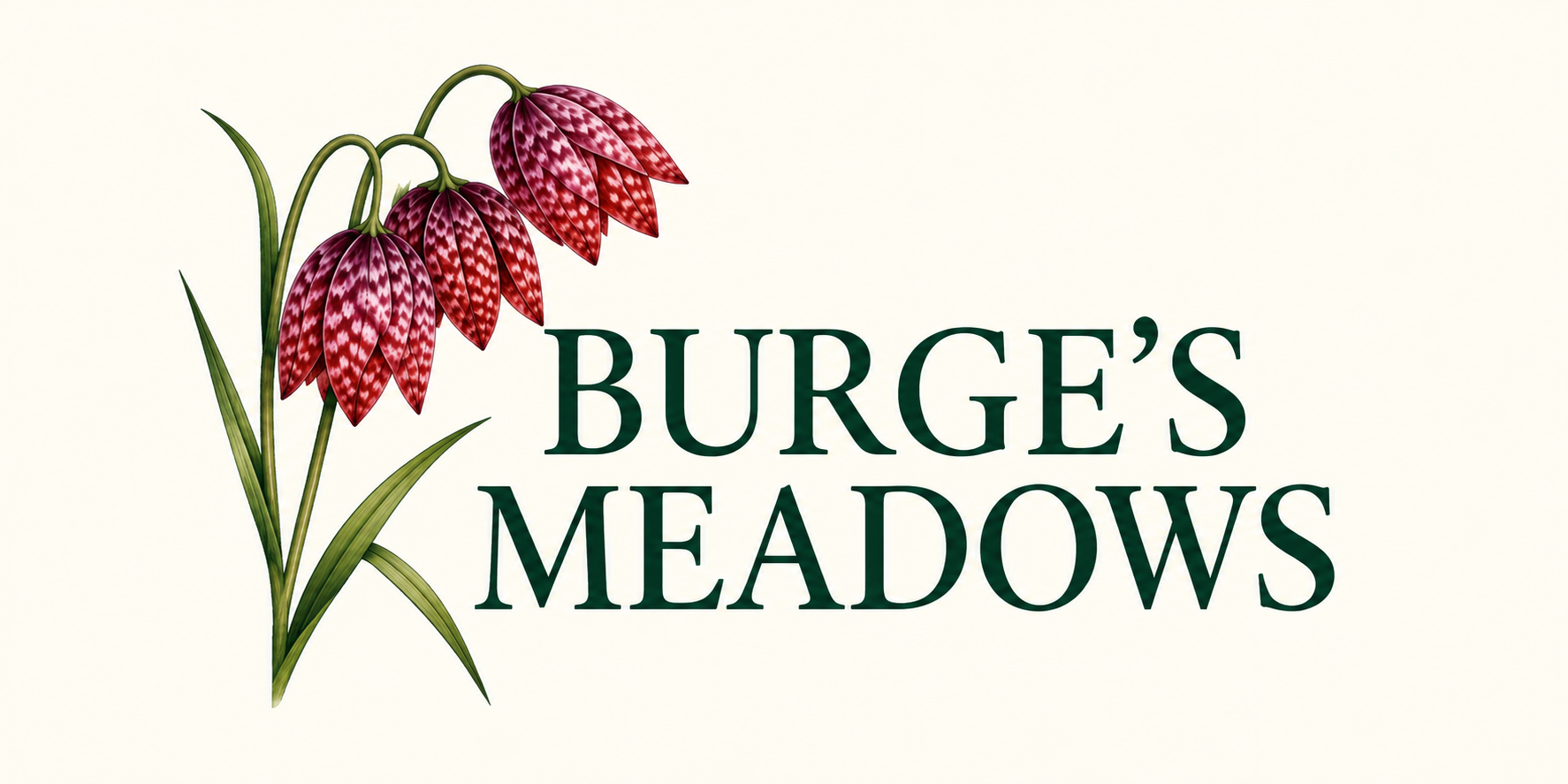 Burge’s Meadow Evening Talk at Meadow
