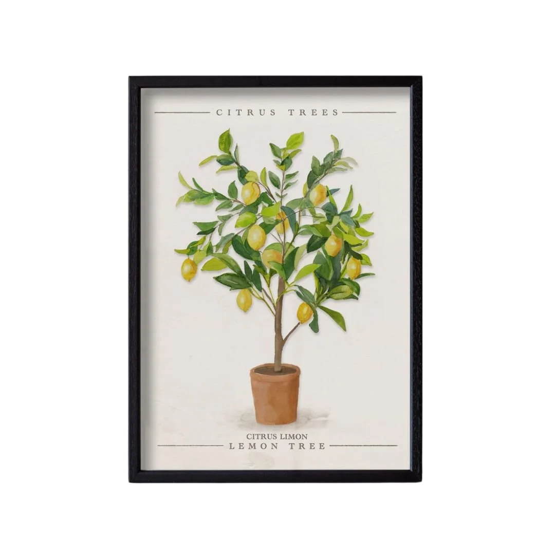 IA Botanical Framed Print - The Lemon Tree - Citrus Lemon — Interiors ...