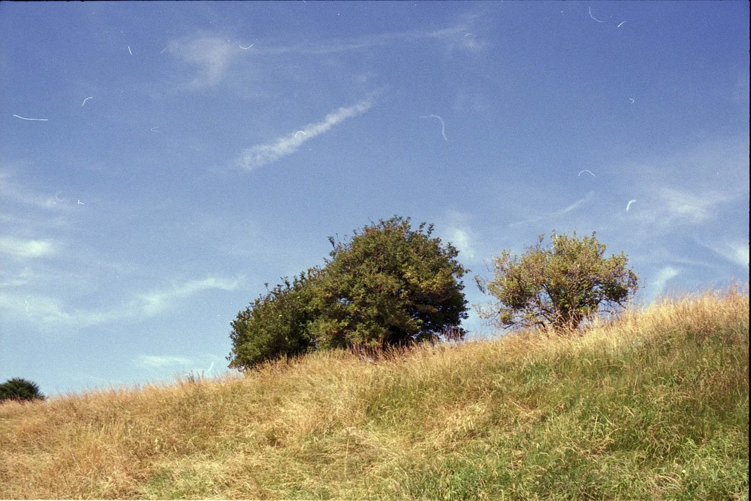 otho_25.jpg