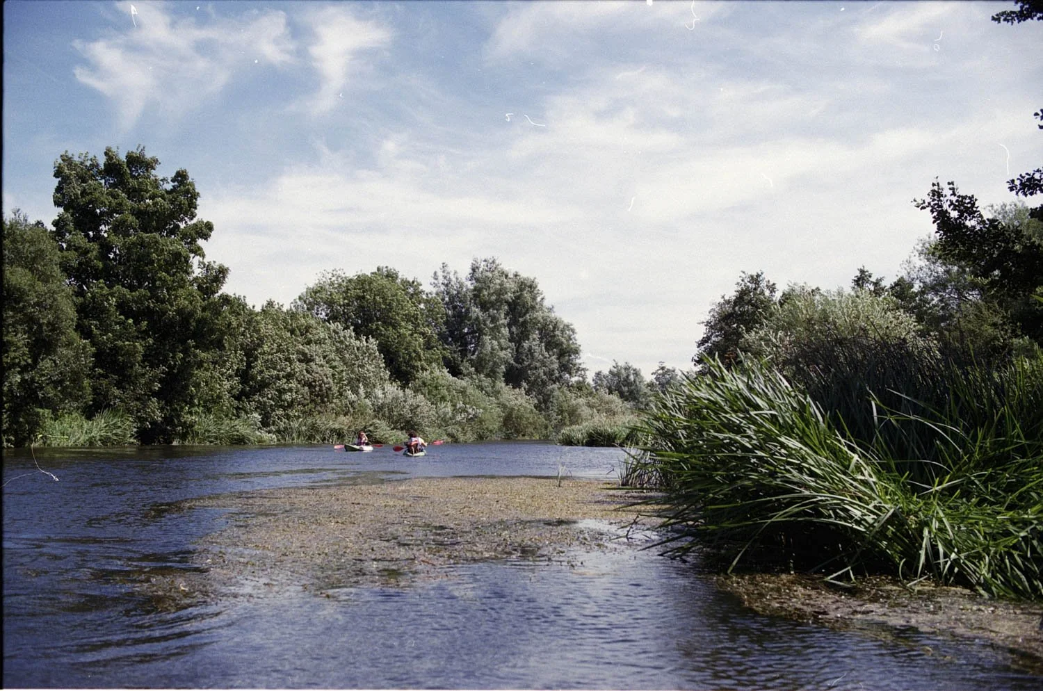otho_23.jpg