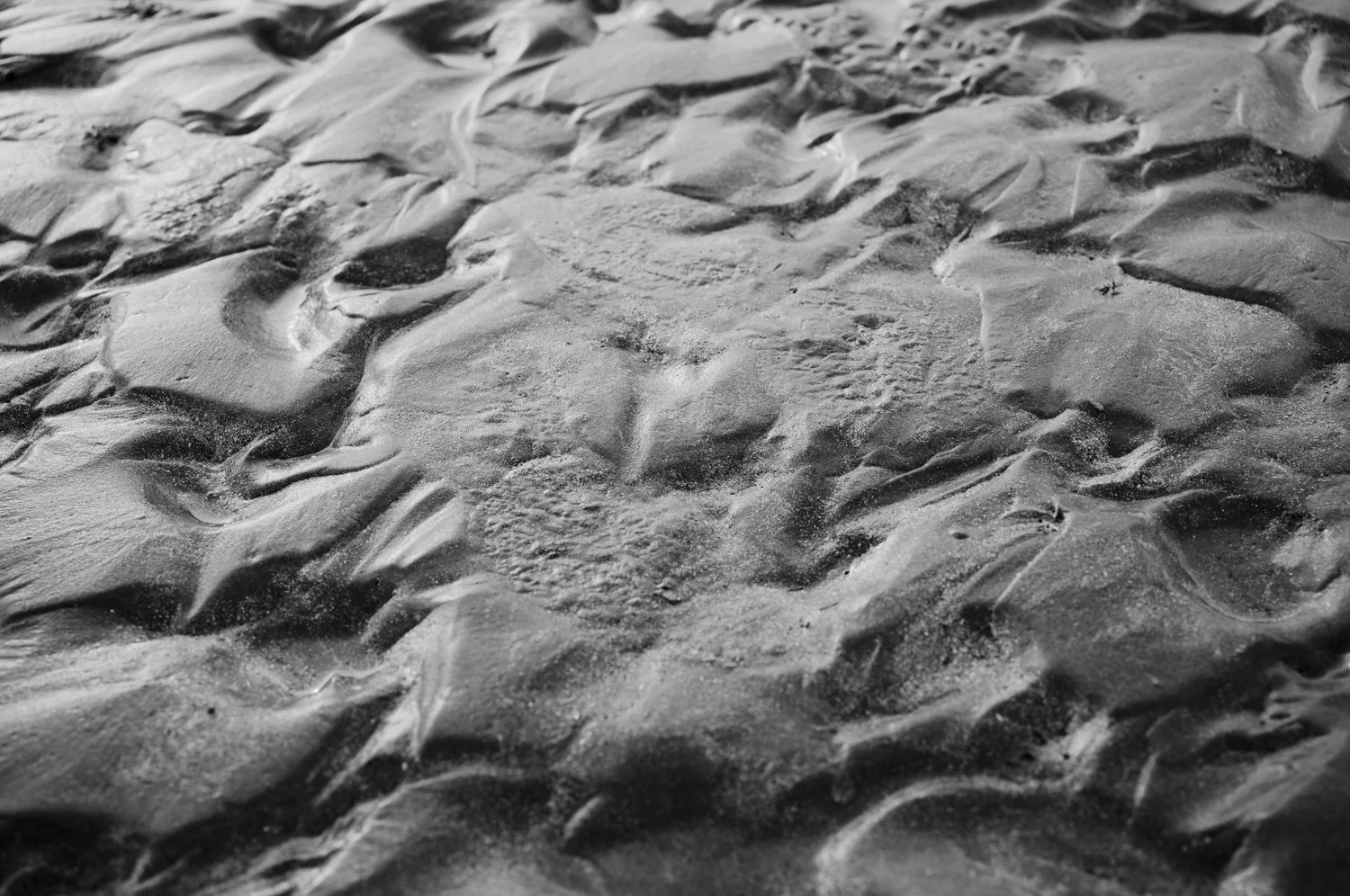 L1000035.jpg