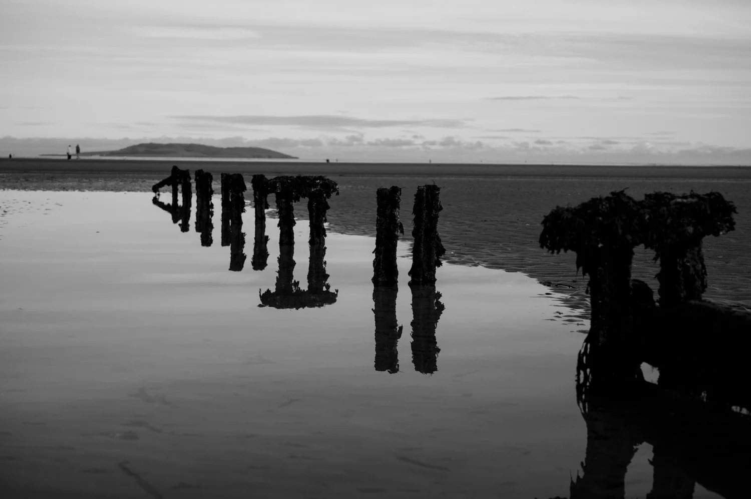 The Quiet Contradiction of a Leica M11-P