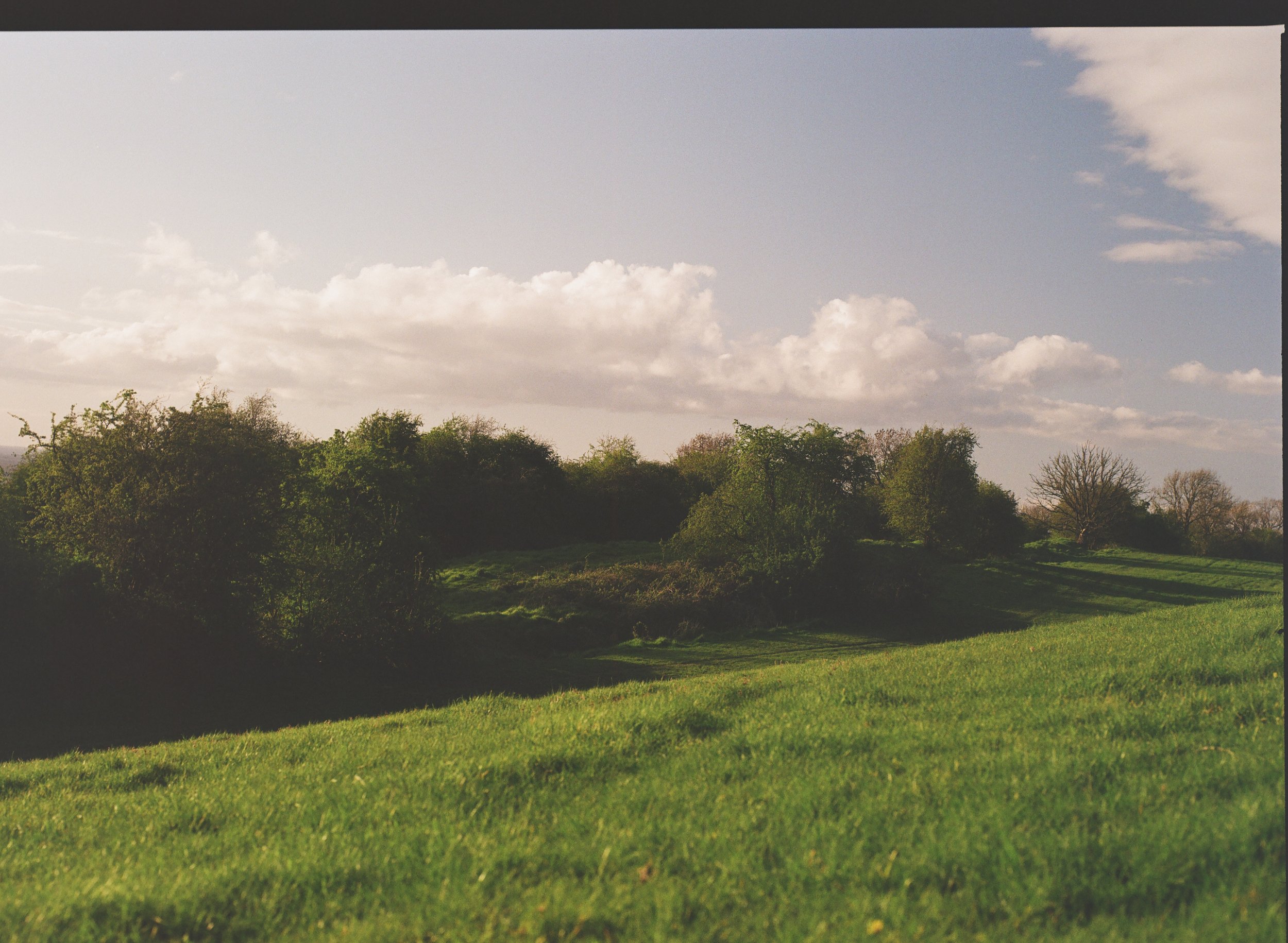HasselBlad 500c/m 2.jpg