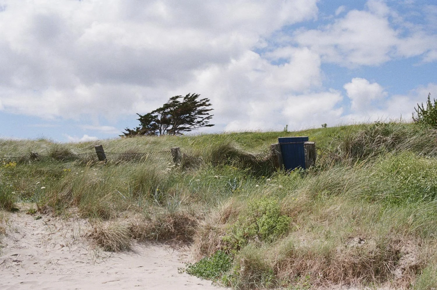 Photographing an Irish Summer with the Nikon FM3A