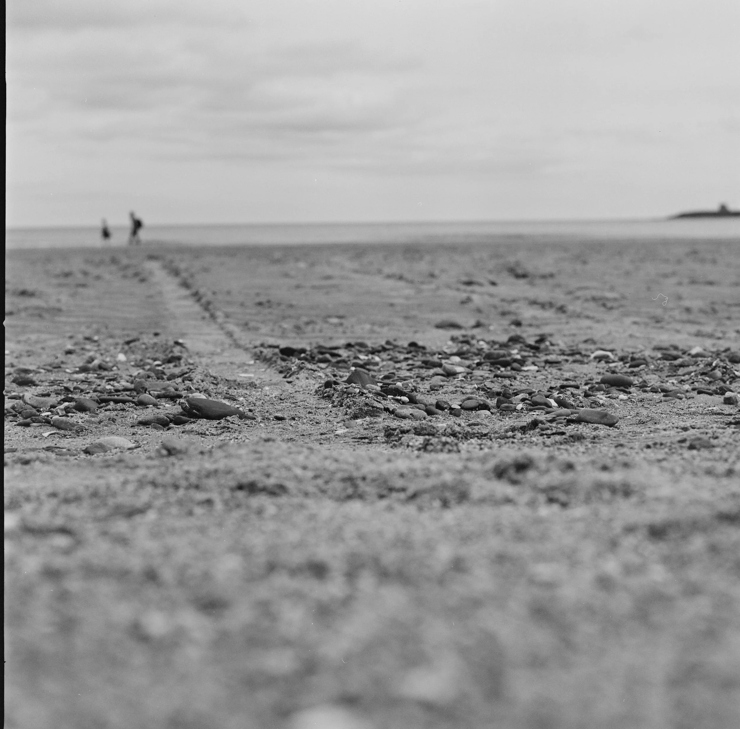 Hasselblad500cm 5.jpg