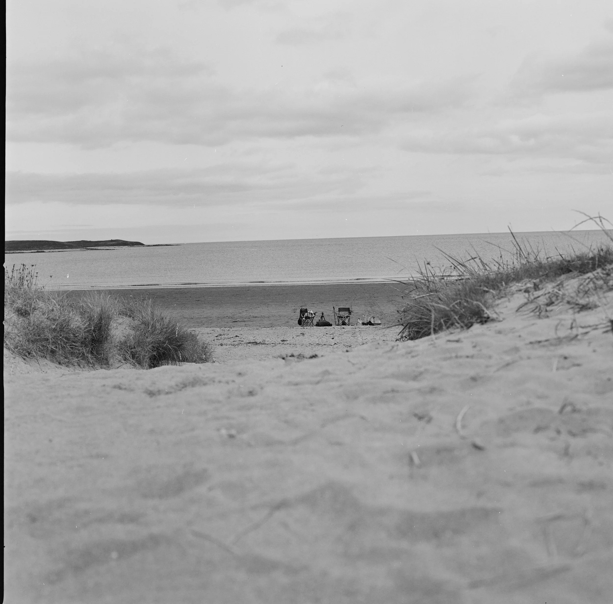 Hasselblad500cm 3.jpg