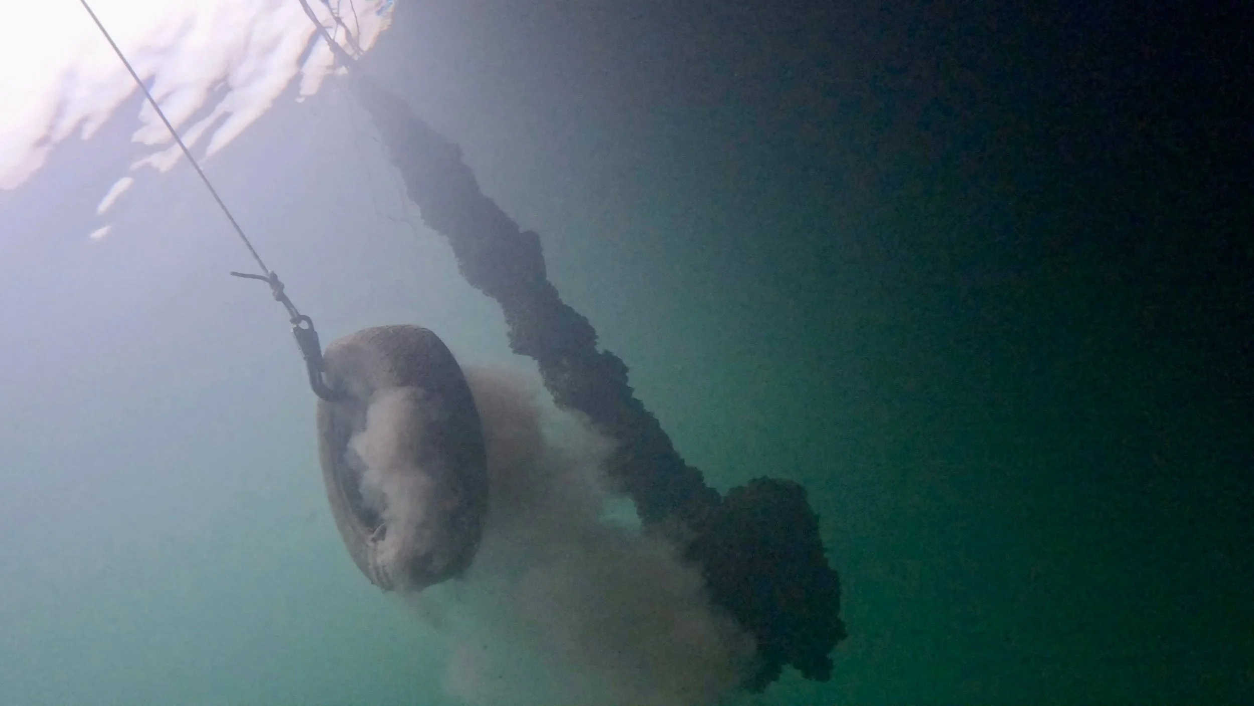 Freedive clean up 2
