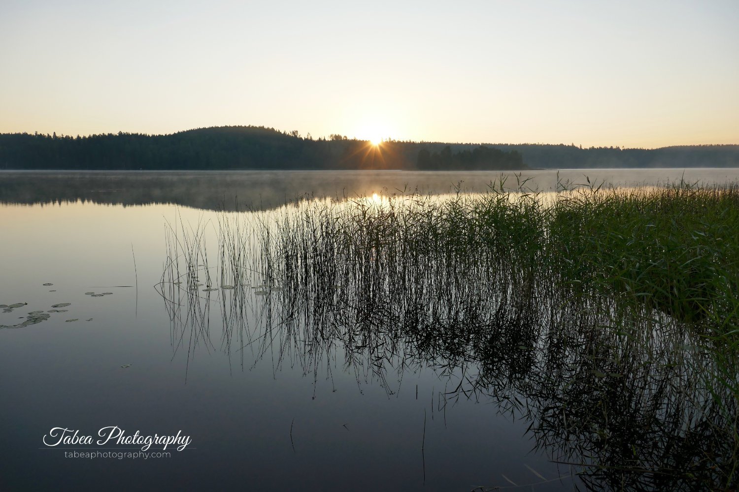 2018-07-23 03.08.21 Wasserzeichen.jpg