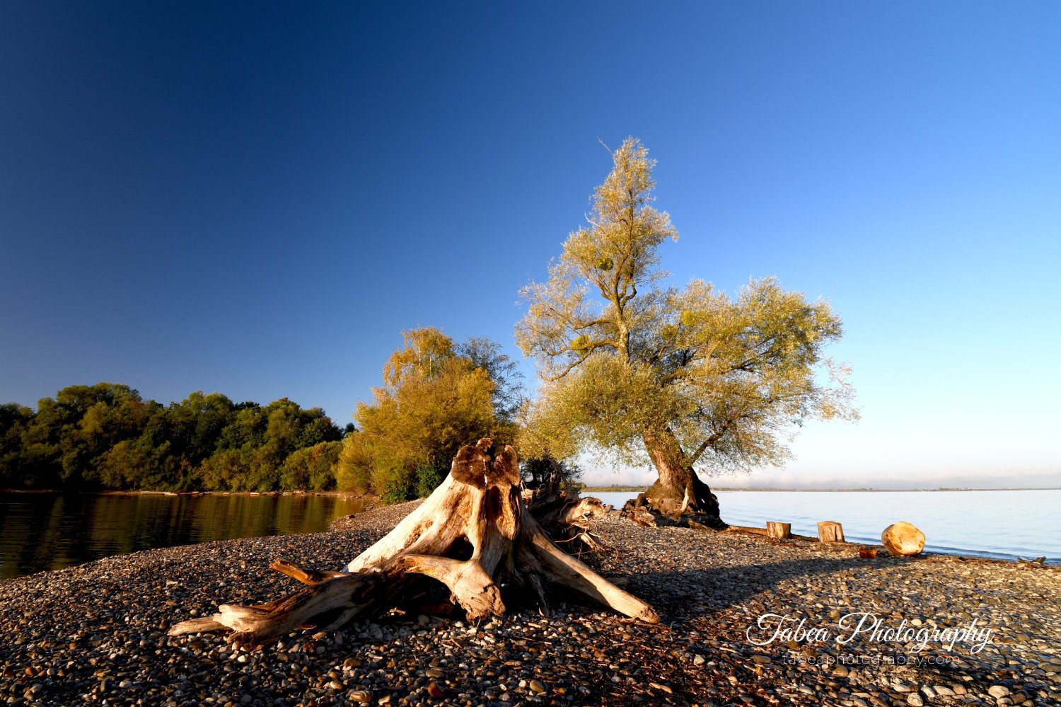 2019-10-14 08.25.22 Wasserzeichen.jpg