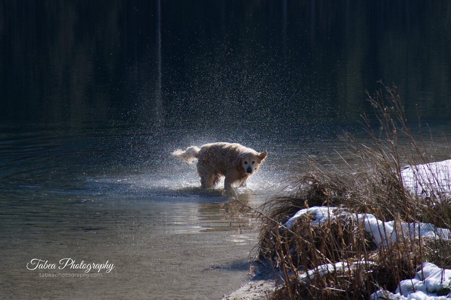 DSC_0422 Wasserzeichen.jpg