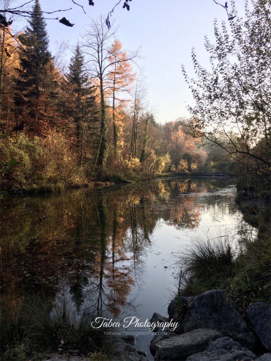 IMG_0018 Wasserzeichen.jpg