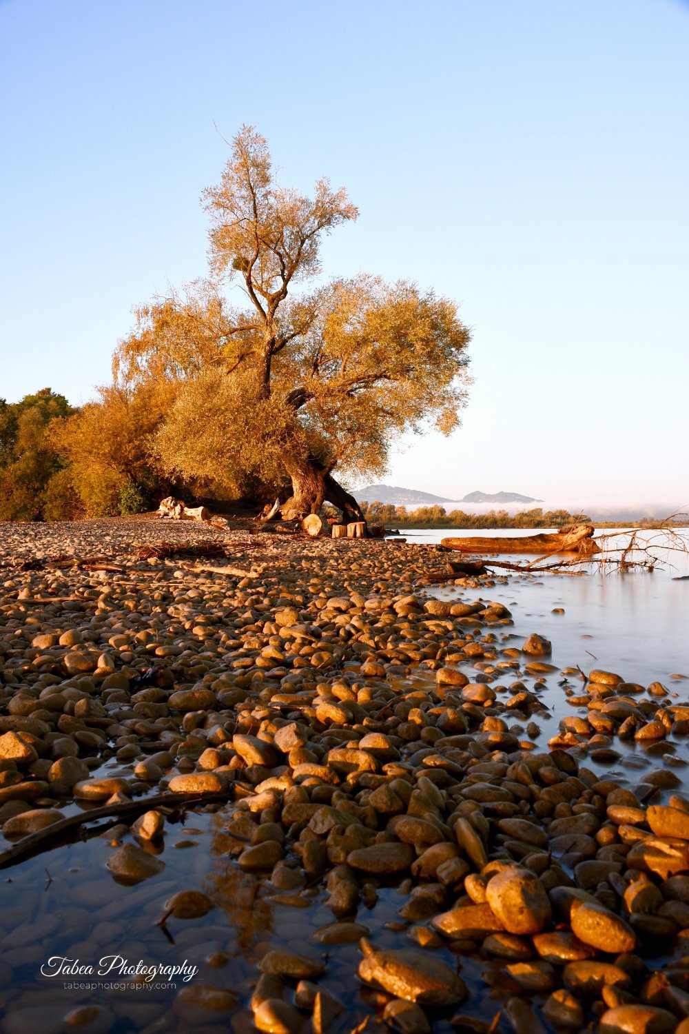 2019-10-14 08.12.10 Wasserzeichen.jpg
