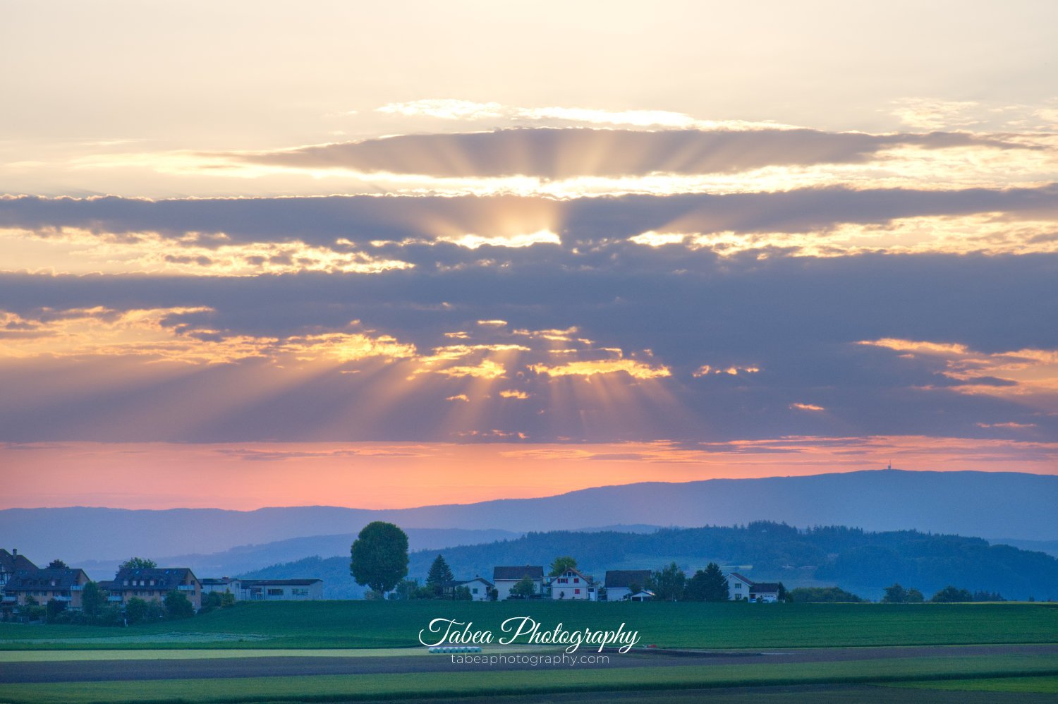 DSC_4375 Wasserzeichen.jpg