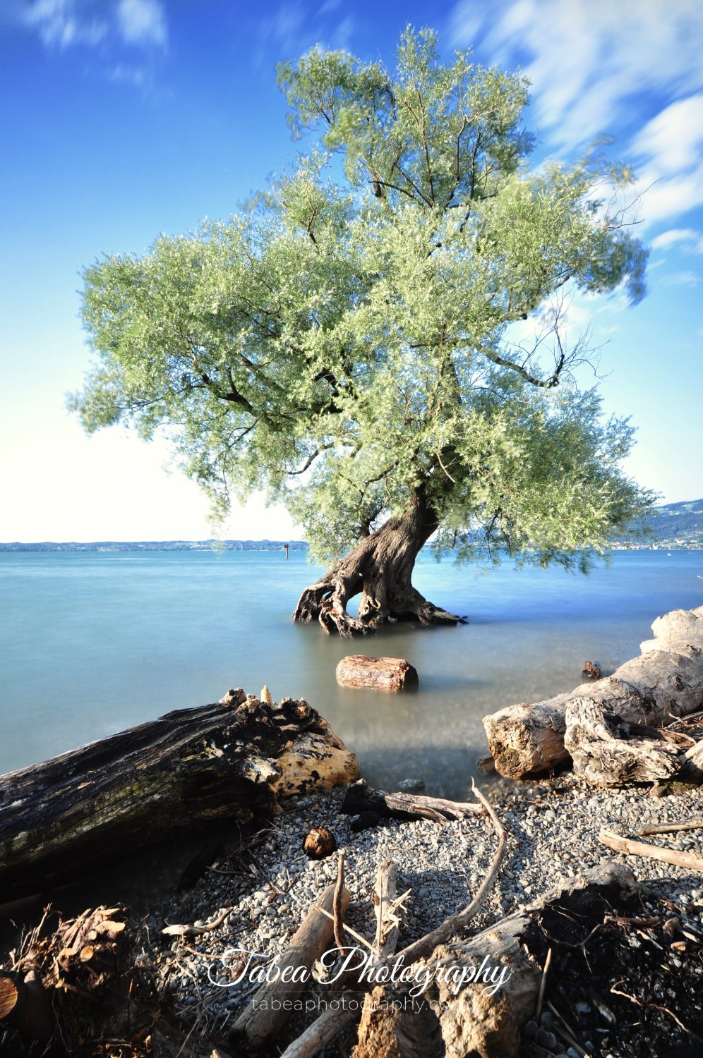 2019-07-09 17.32.23 Wasserzeichen.jpg